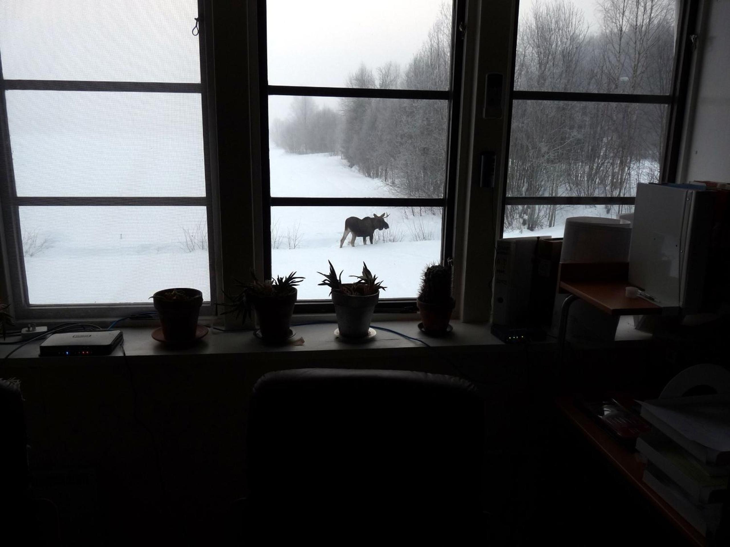 Photo 43