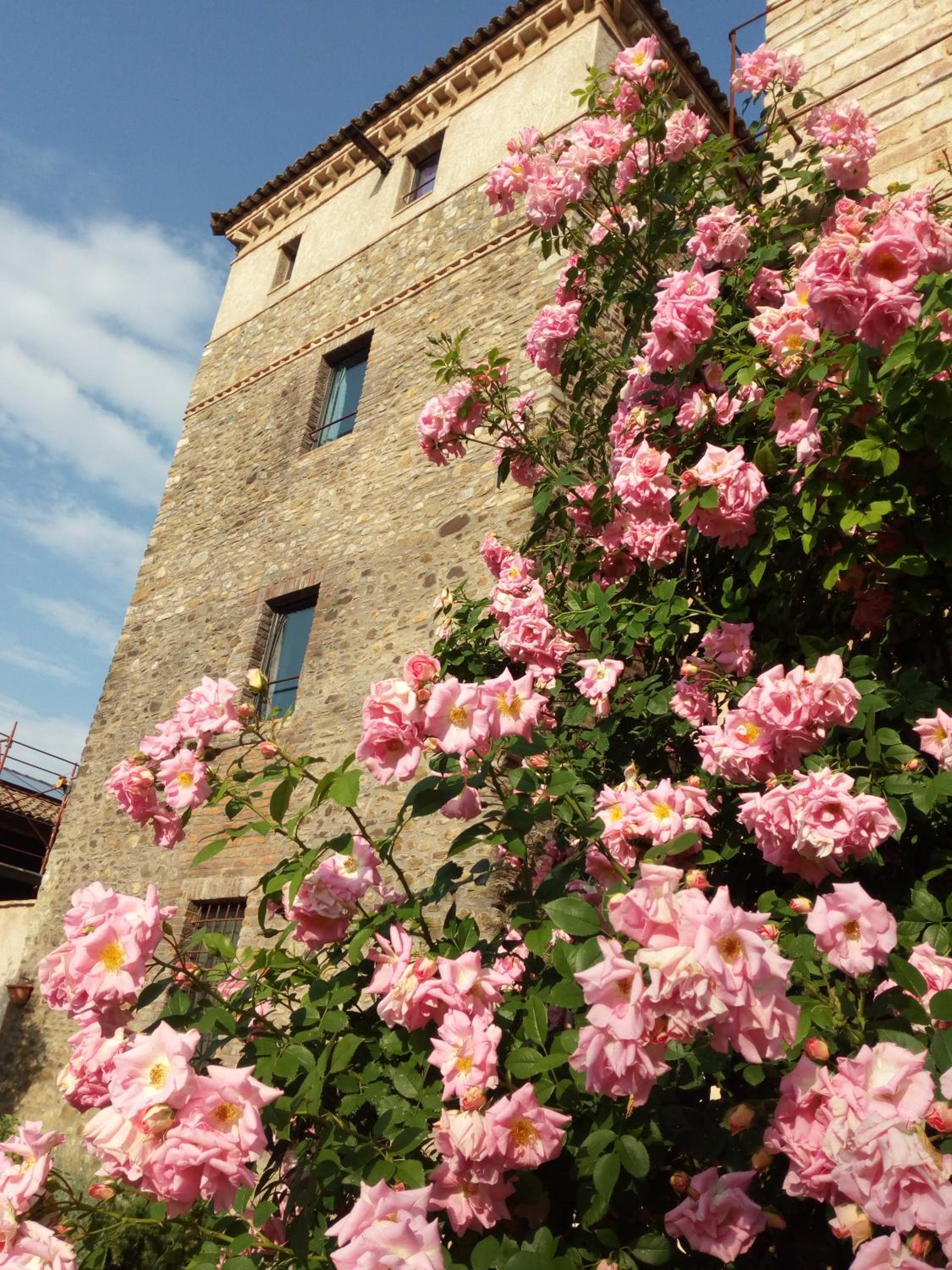 Agriturismo Ca' Preda view 2