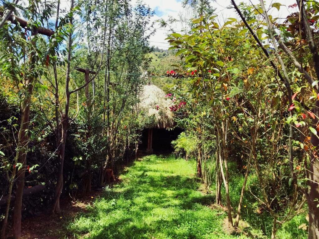 Hotel Campestre mirador CaloPala