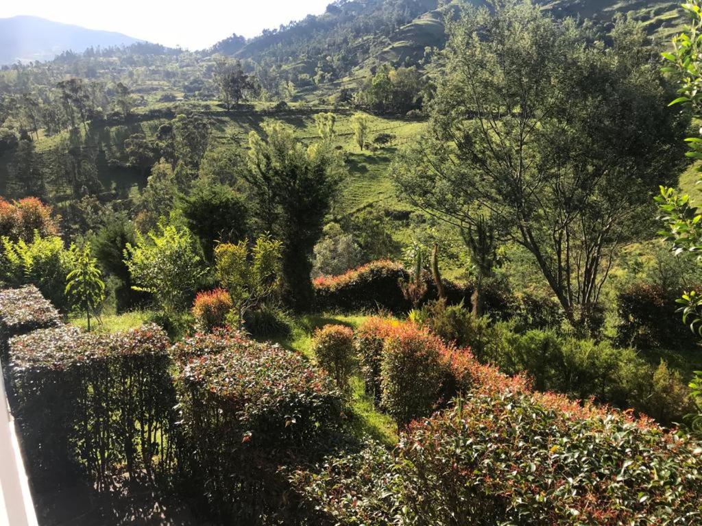 Hotel Campestre mirador CaloPala