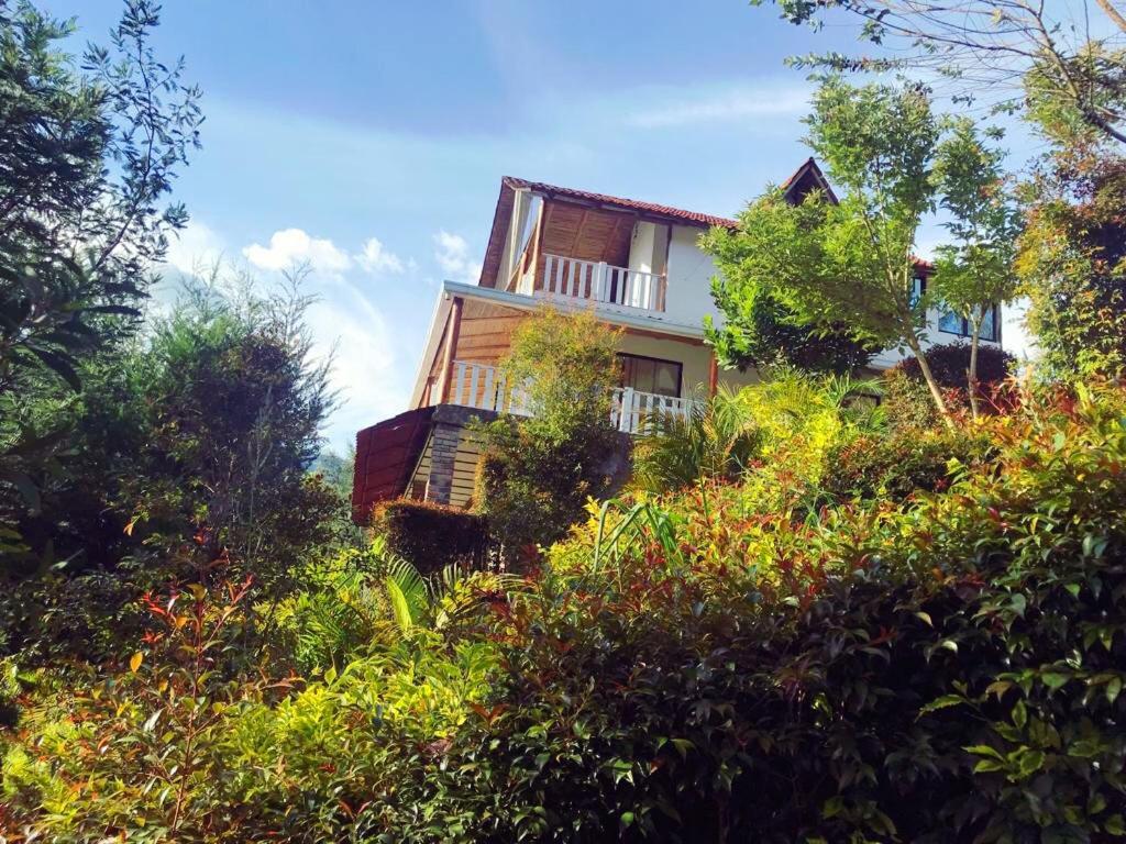 Hotel Campestre mirador CaloPala