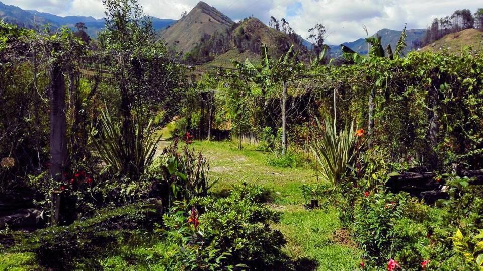 Hotel Campestre mirador CaloPala