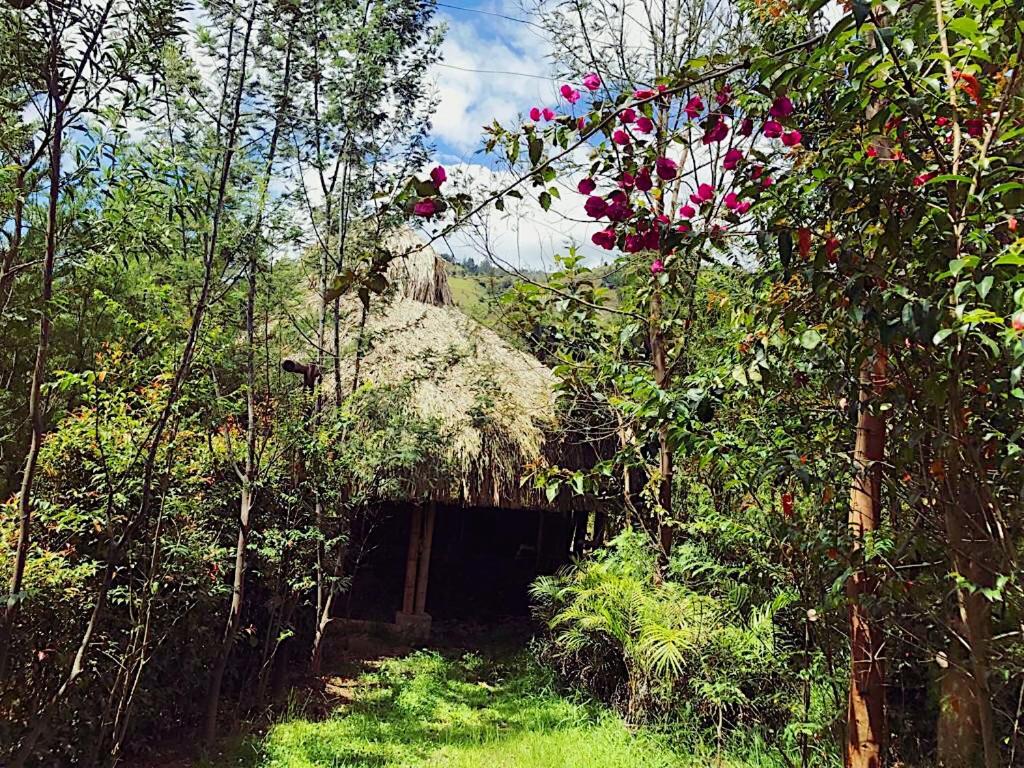 Hotel Campestre mirador CaloPala