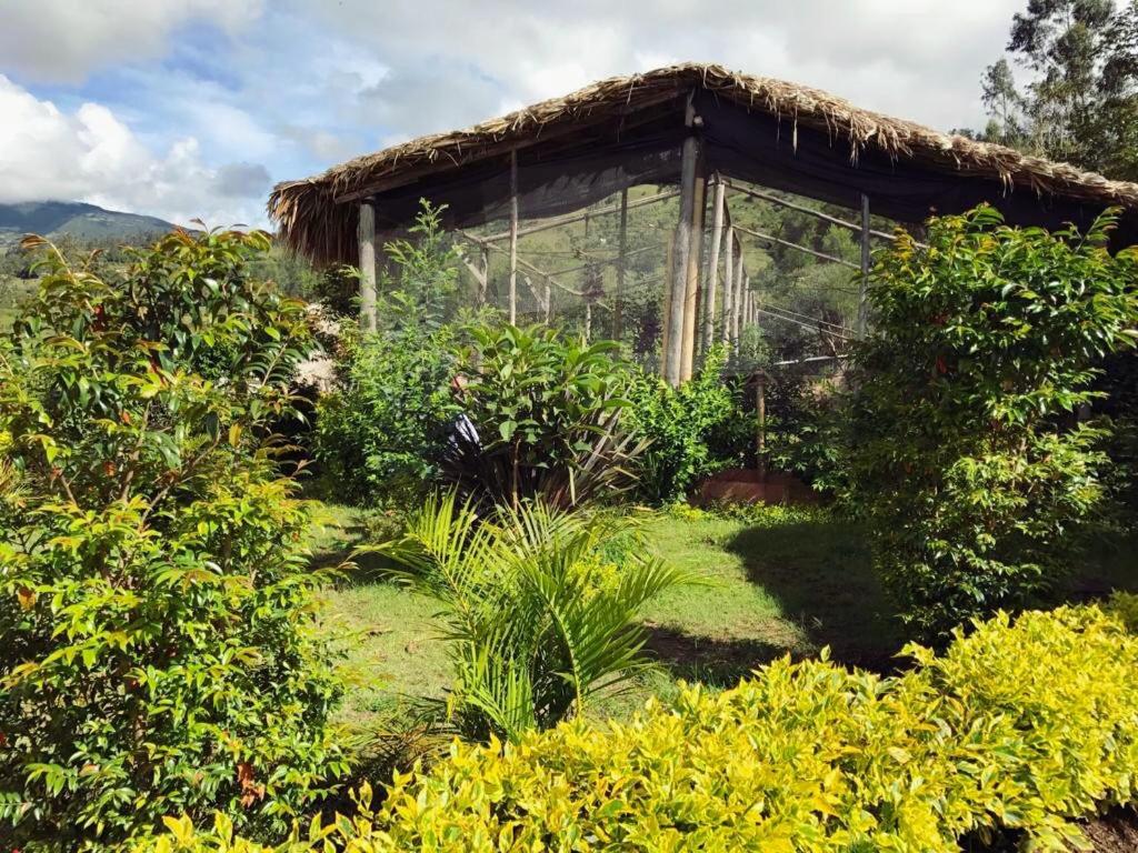 Hotel Campestre mirador CaloPala