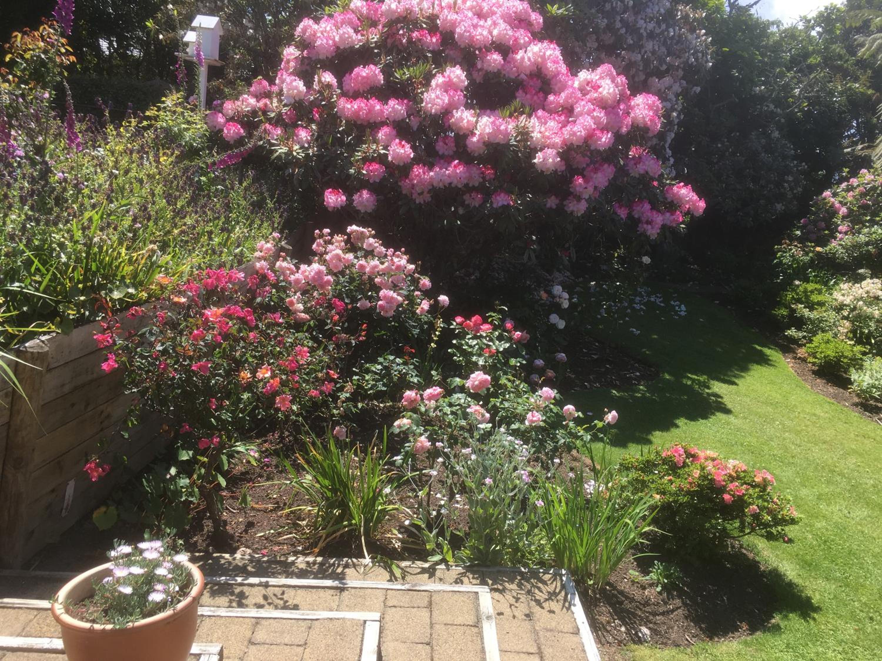 Photo 9