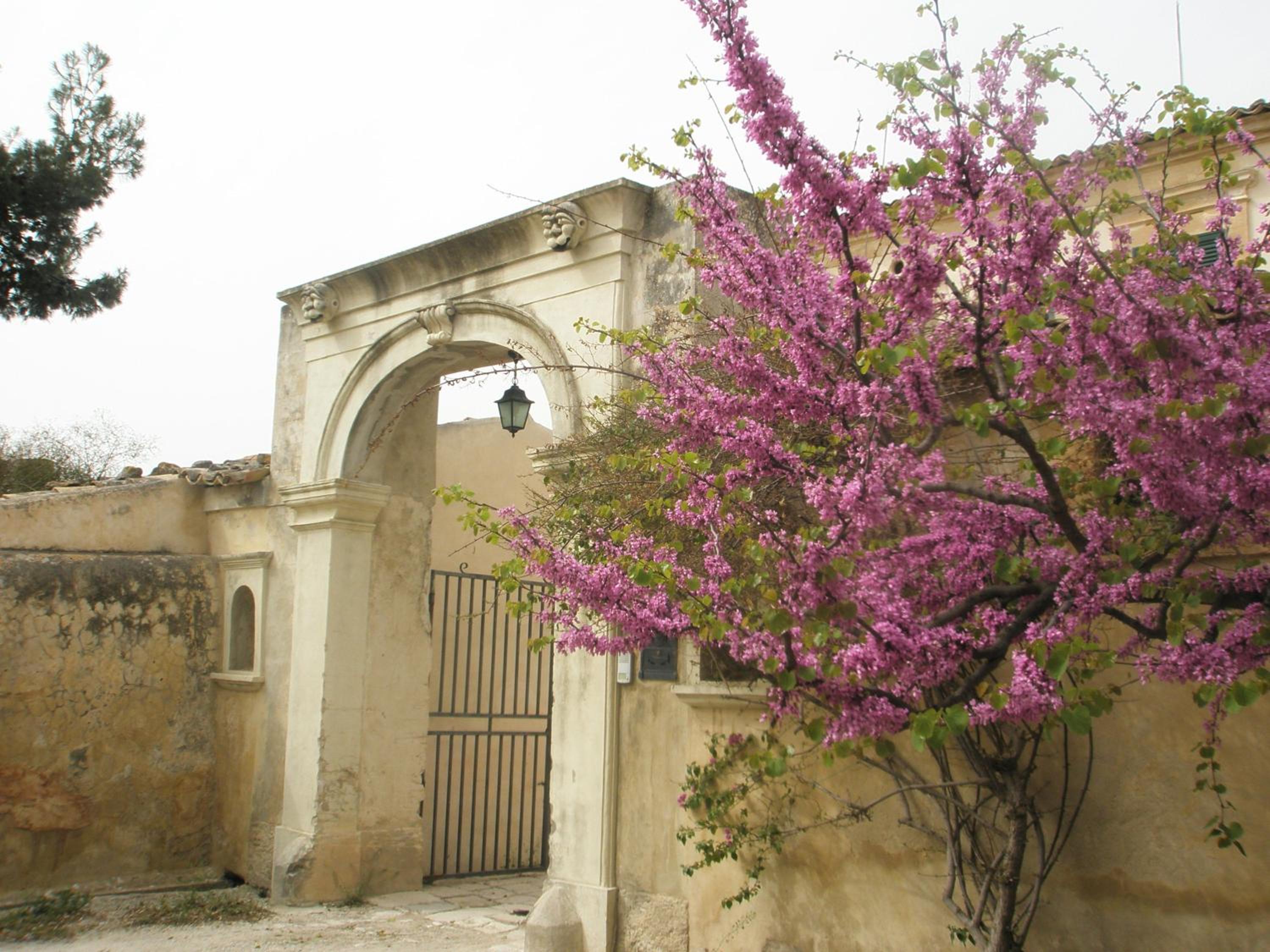Photo 36