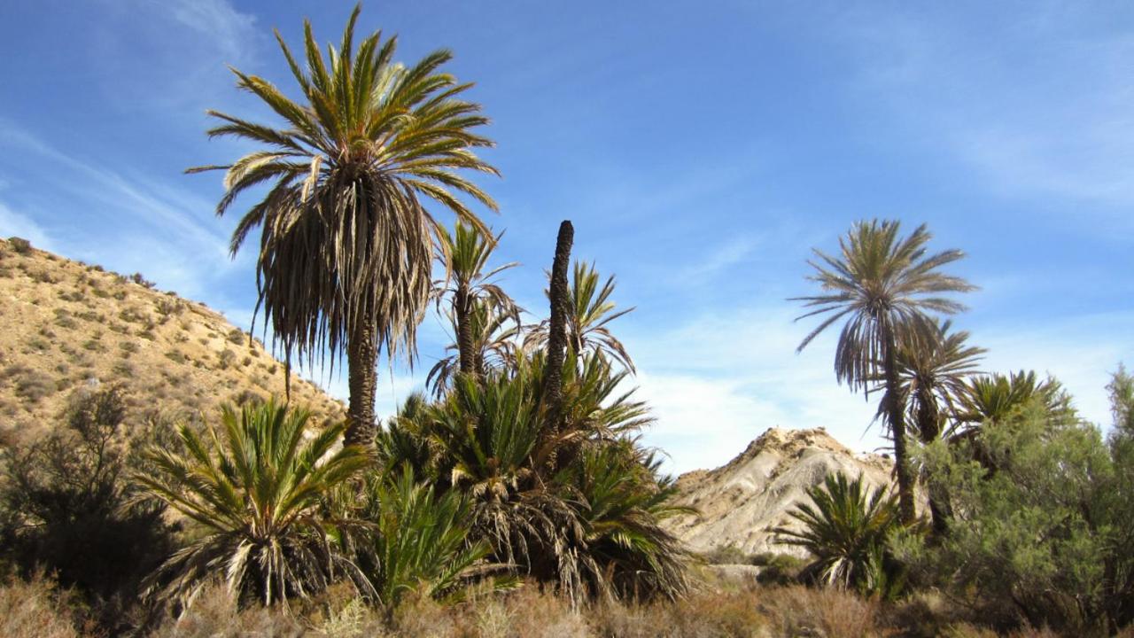 Photo 20