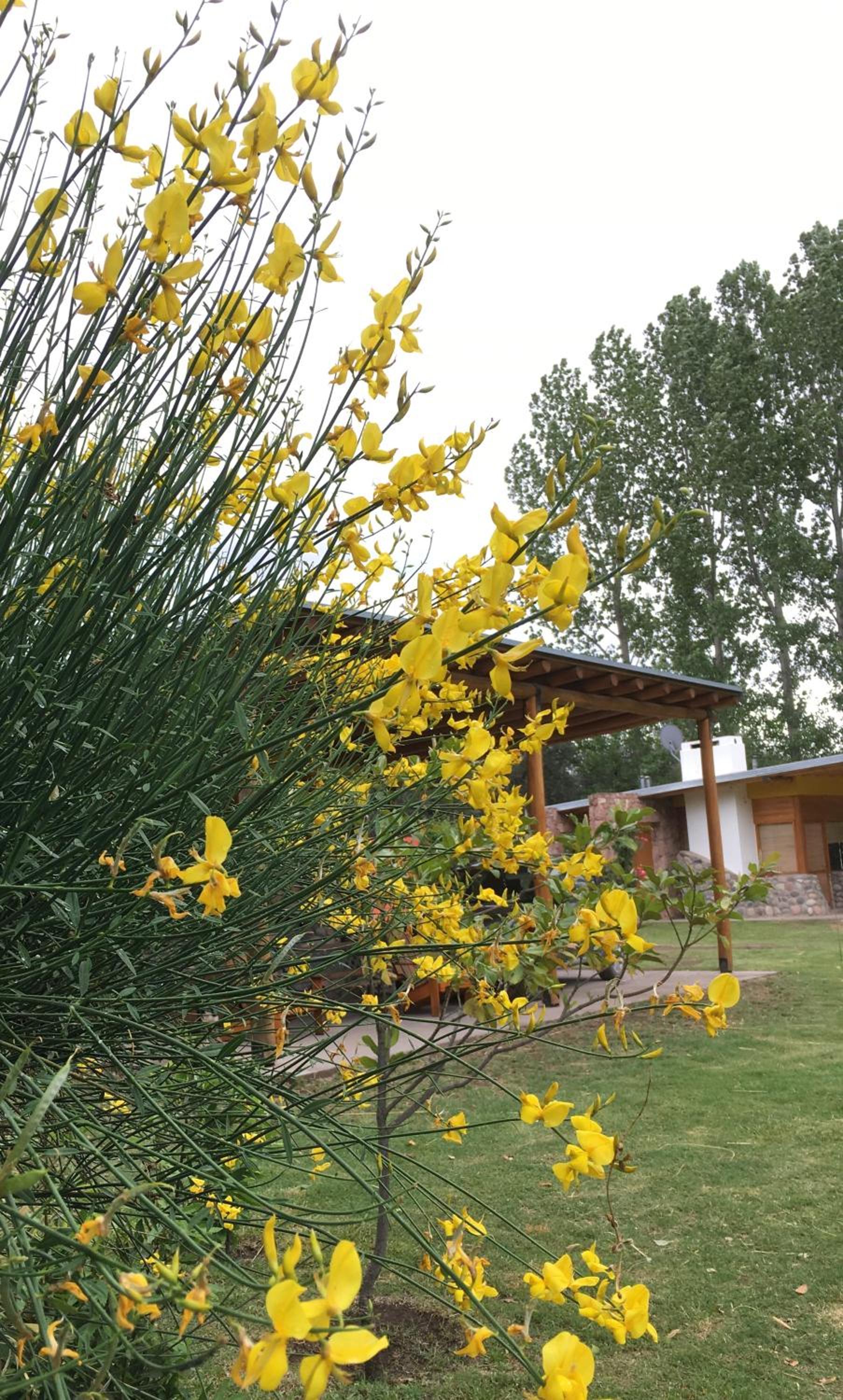 La Viñuela