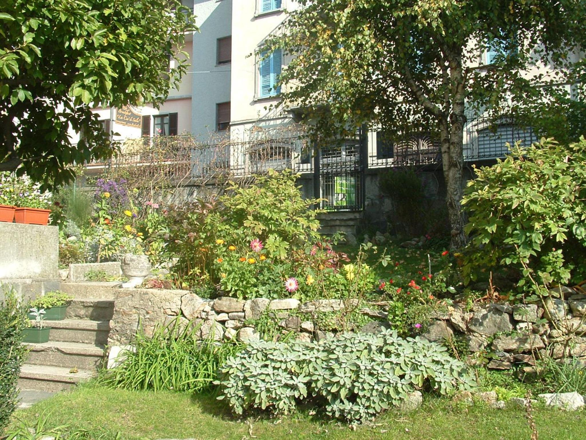 Photo 12