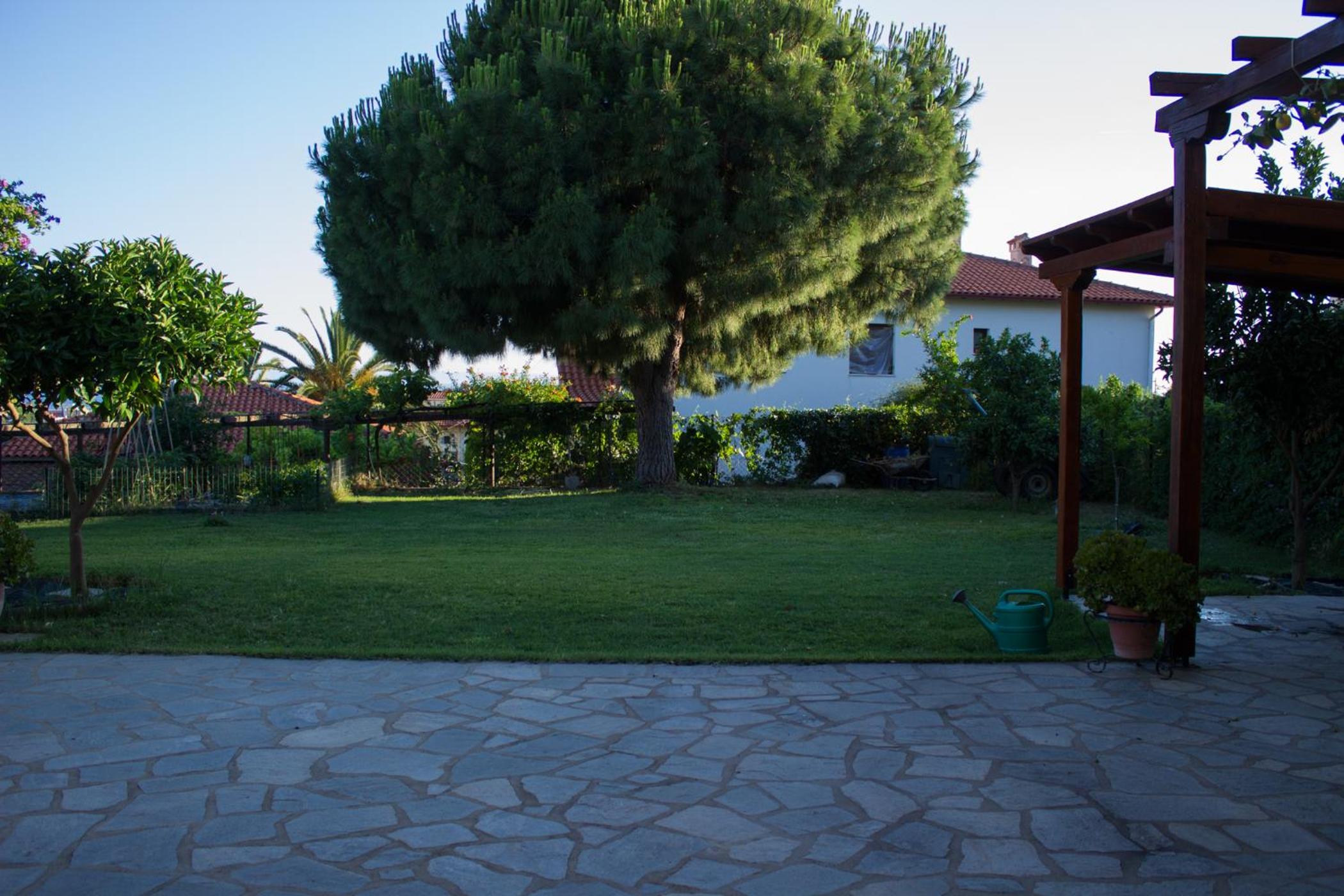 Photo 15