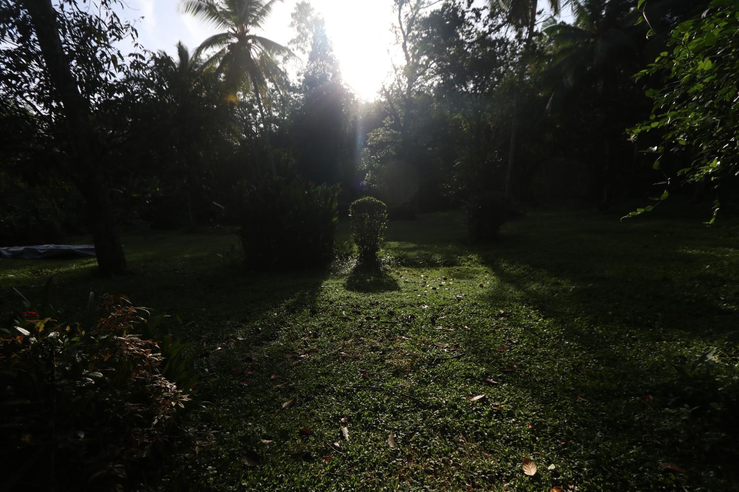 Photo 27