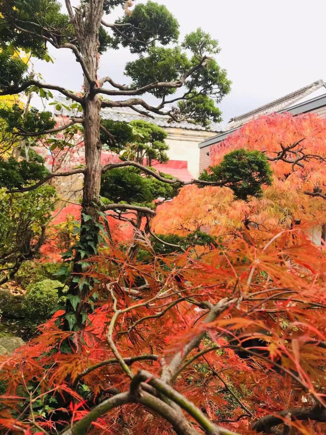 Nishikien inn 錦園