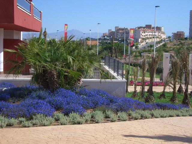 Arenales Playa by Mar Holidays
