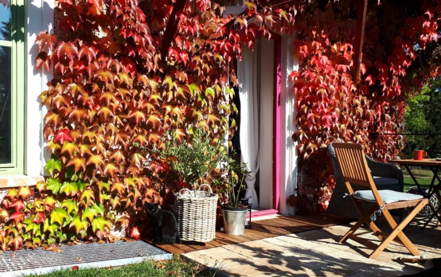 Apartmány Ruprechtov