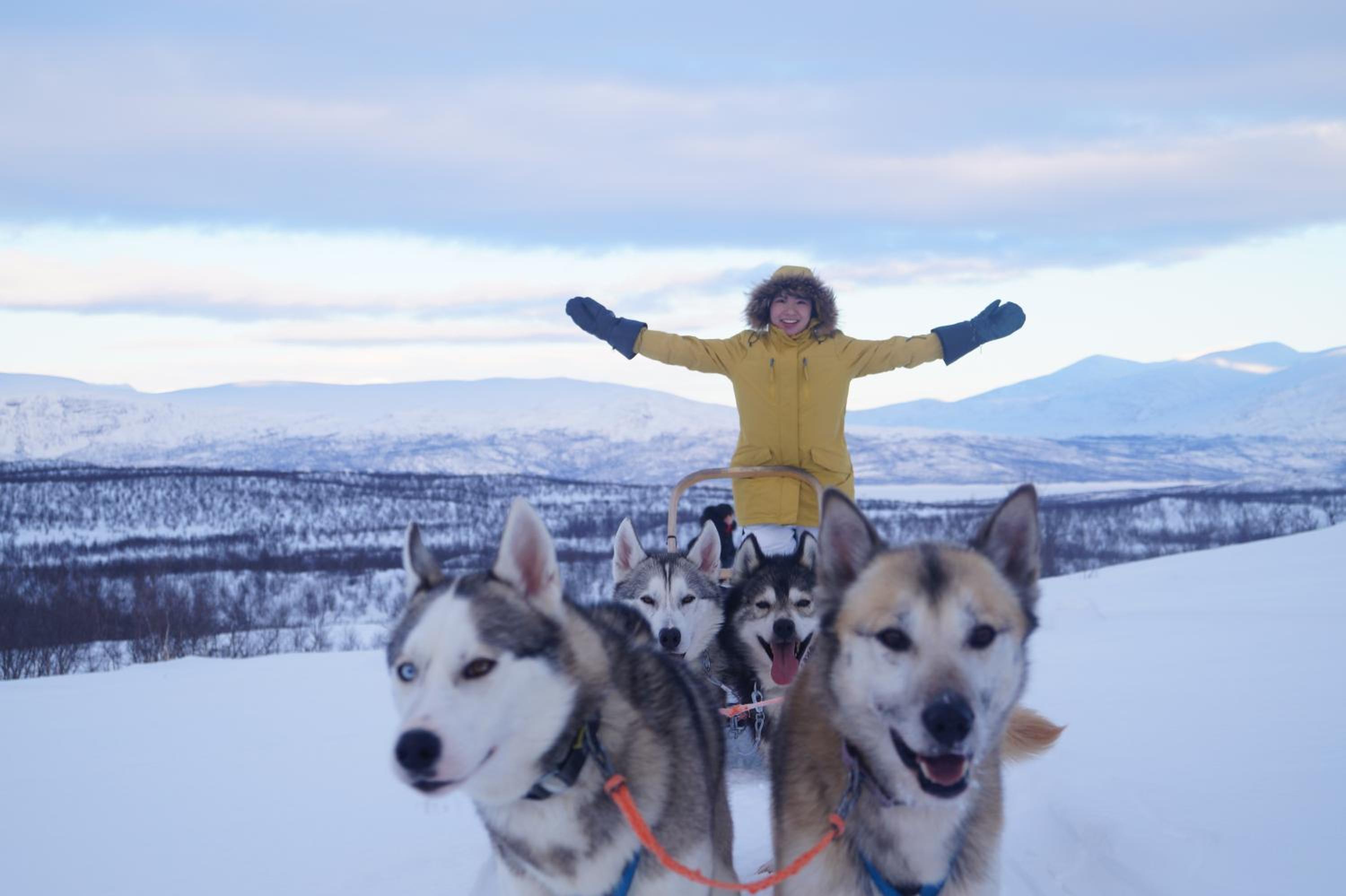 Abisko net Hostel & Huskies view 3