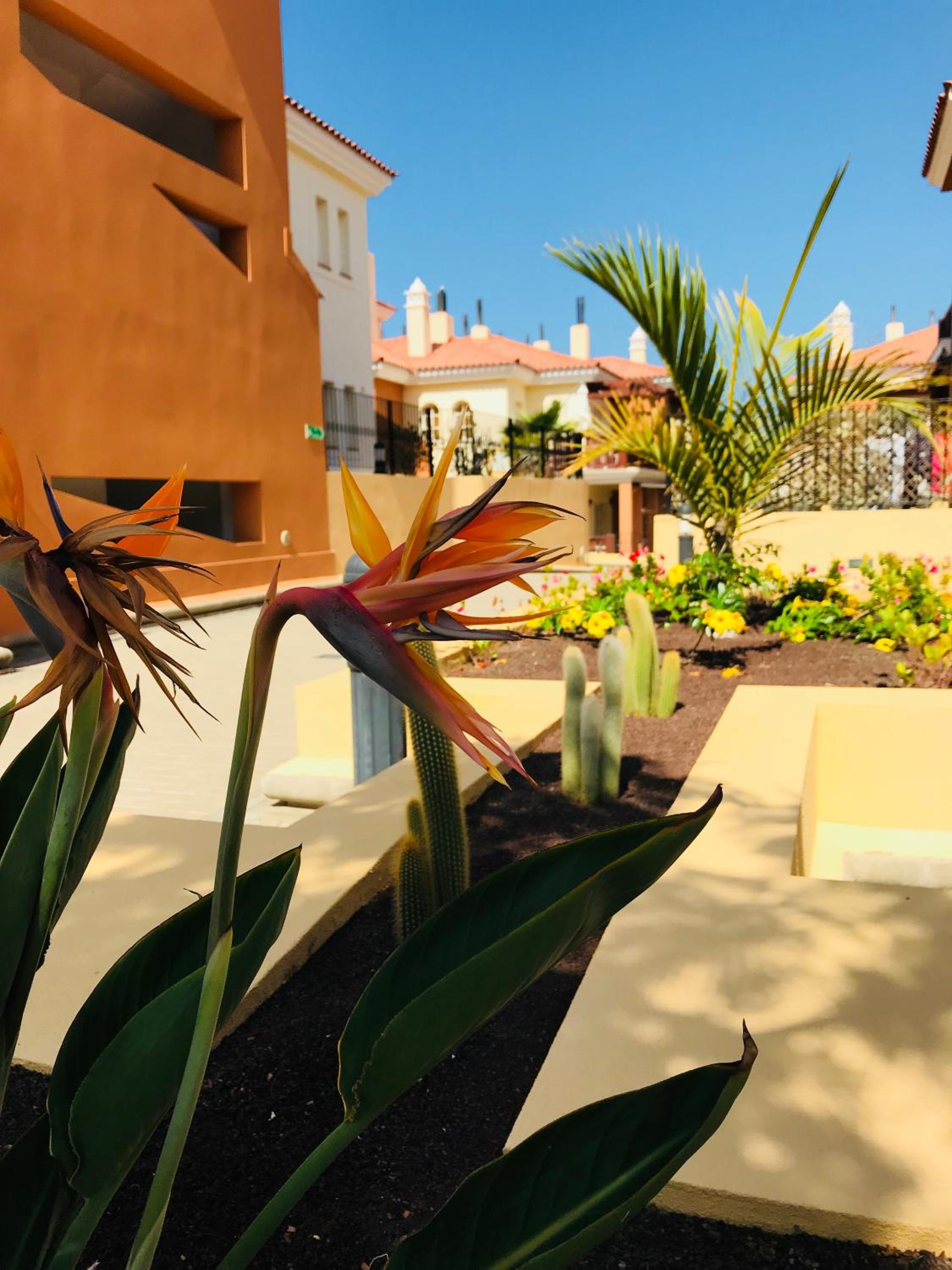 La Casa Canaria
