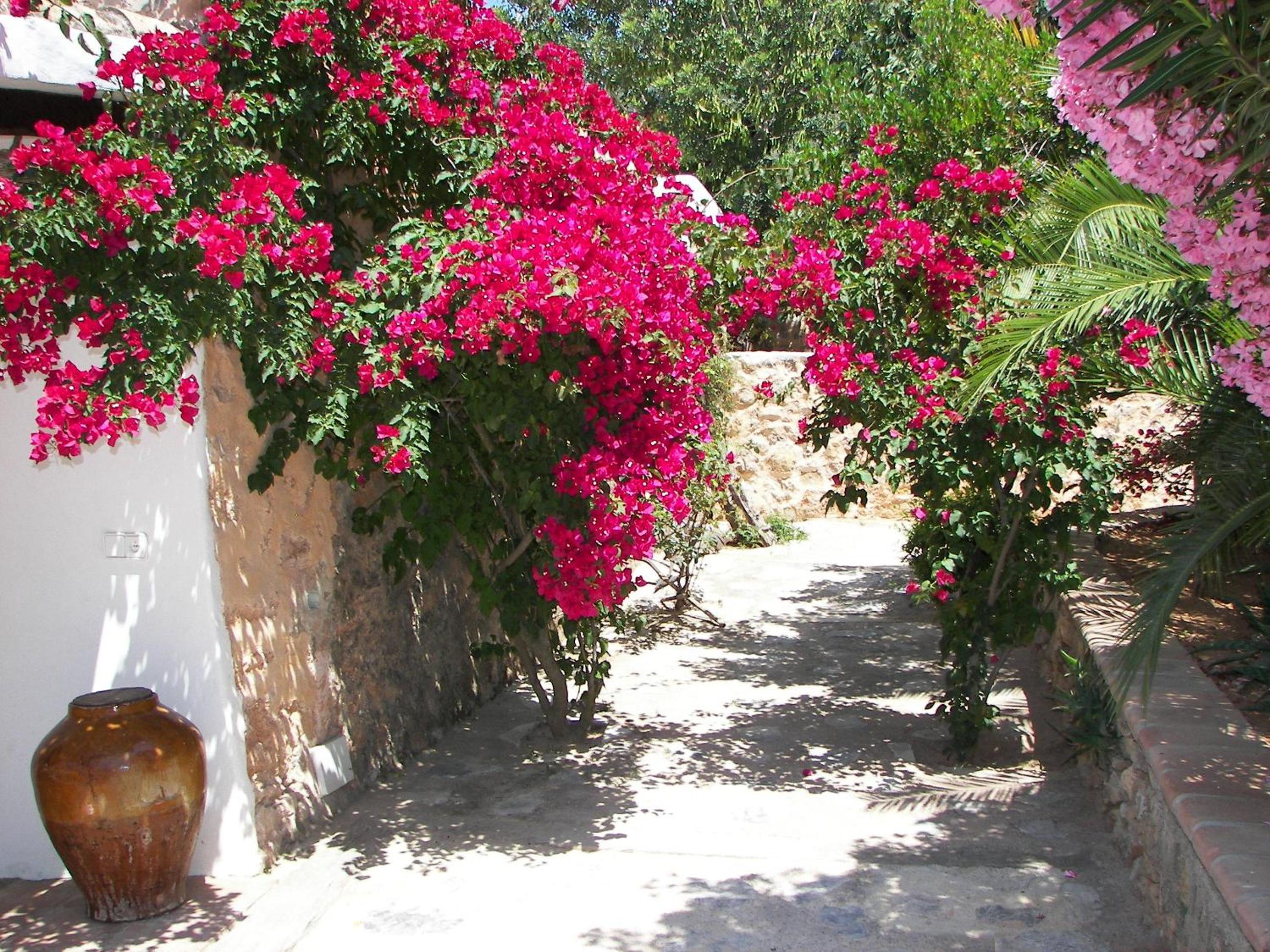 Agroturismo Can Pere Sord — photo 36
