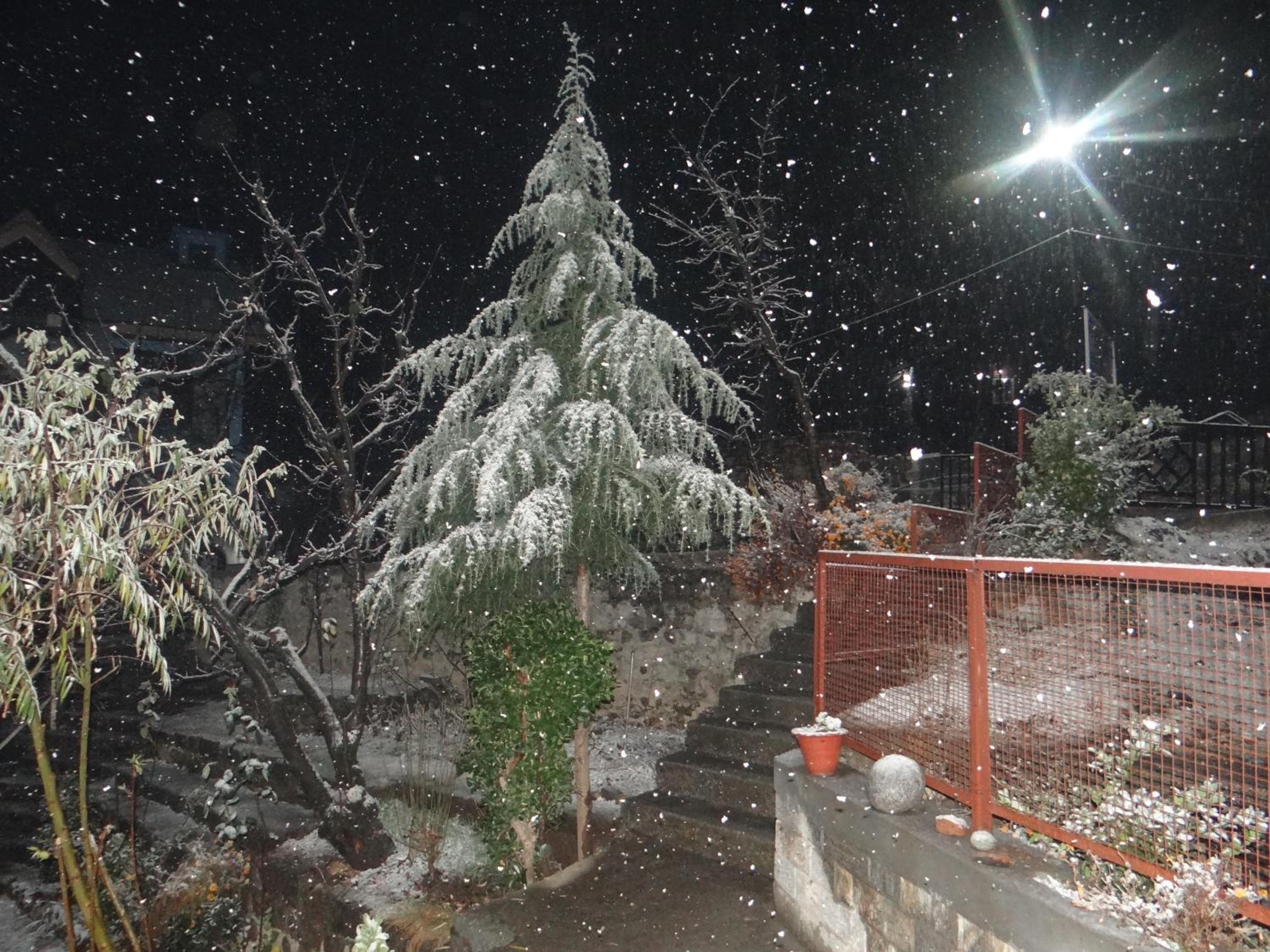 Hotel Mountain Trail Manali