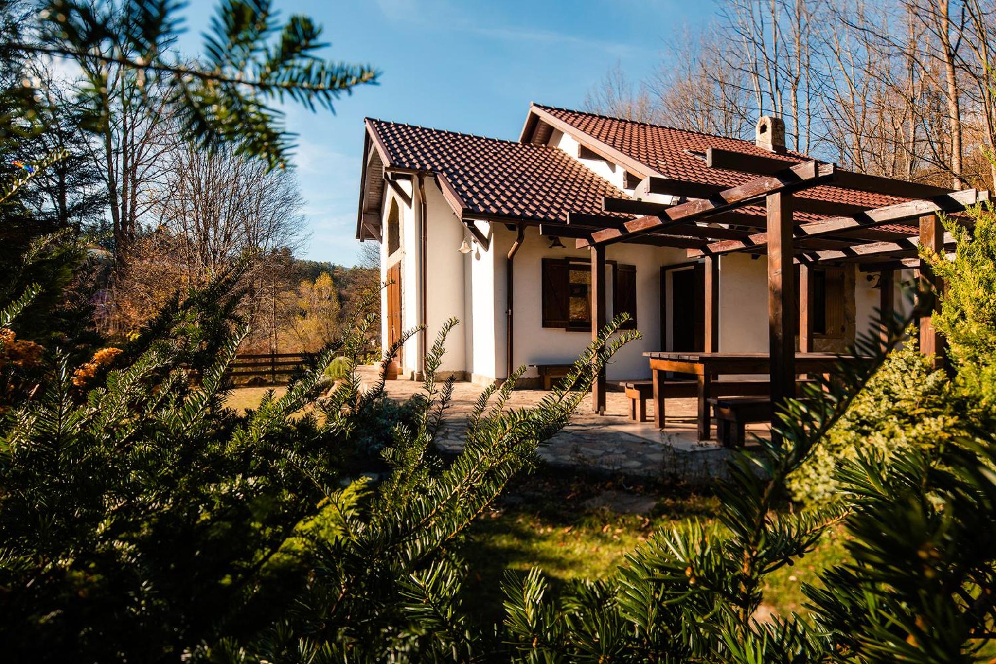 Villa MontePalazzo Valiug - 1 km from Ponton Casa Baraj view 3