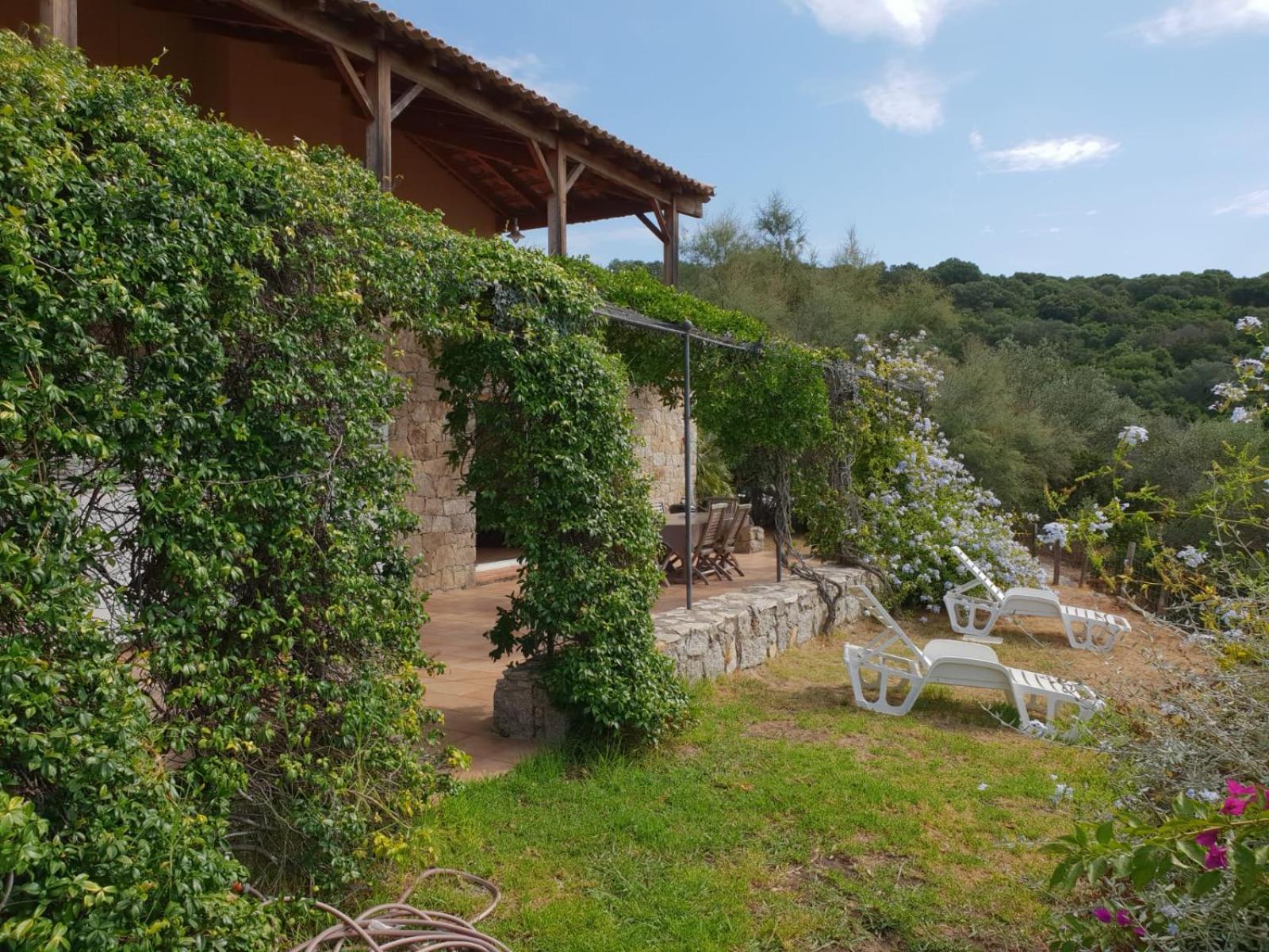 Villas Valinco Capicciolo vue-proche mer-piscines view 5