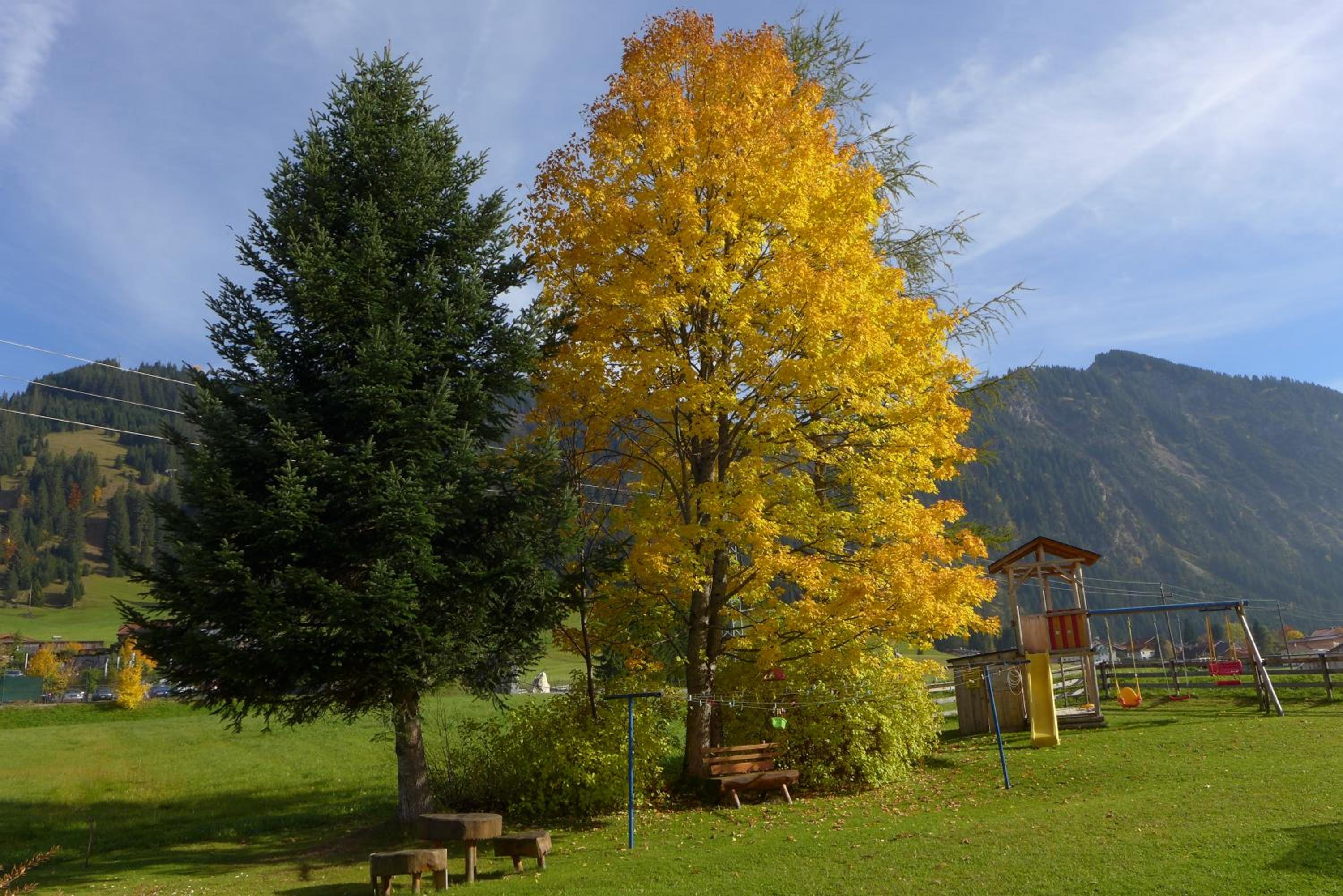 Rief Ingrid und Hubert view 4