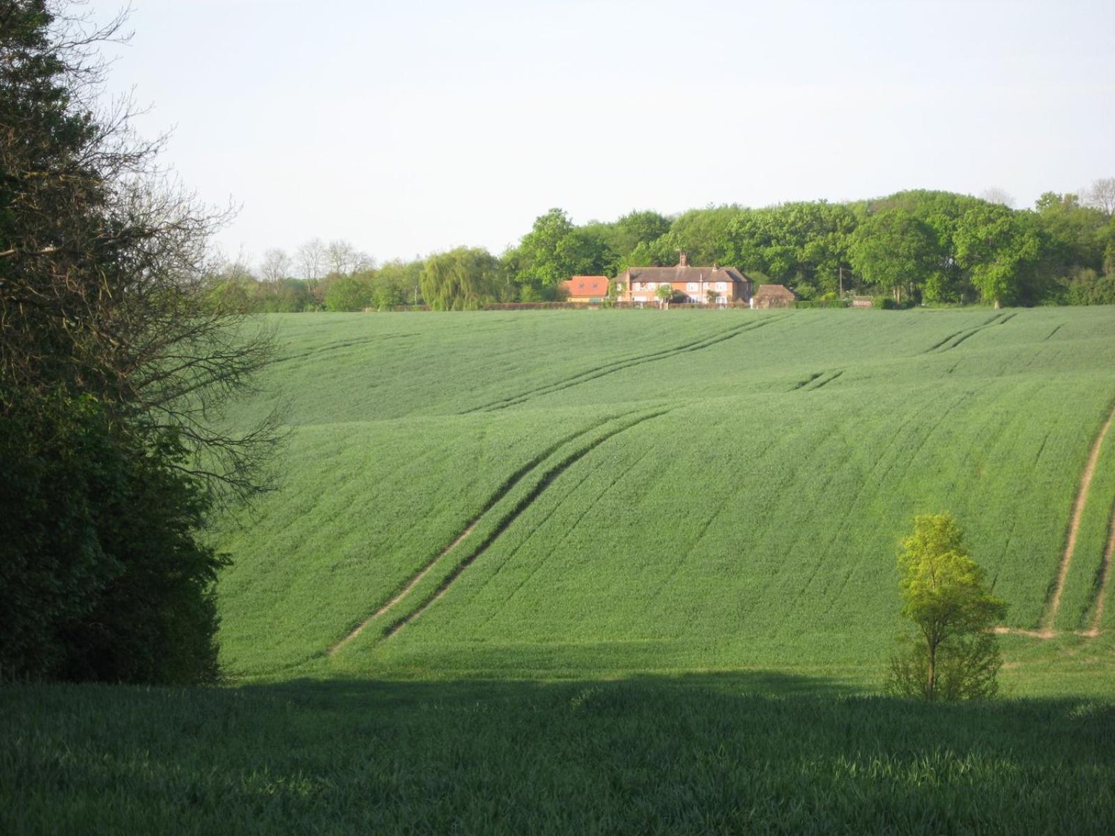 Wellrose Barn view 5