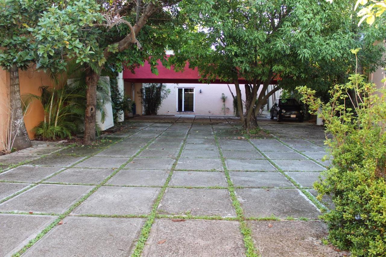 Photo 20