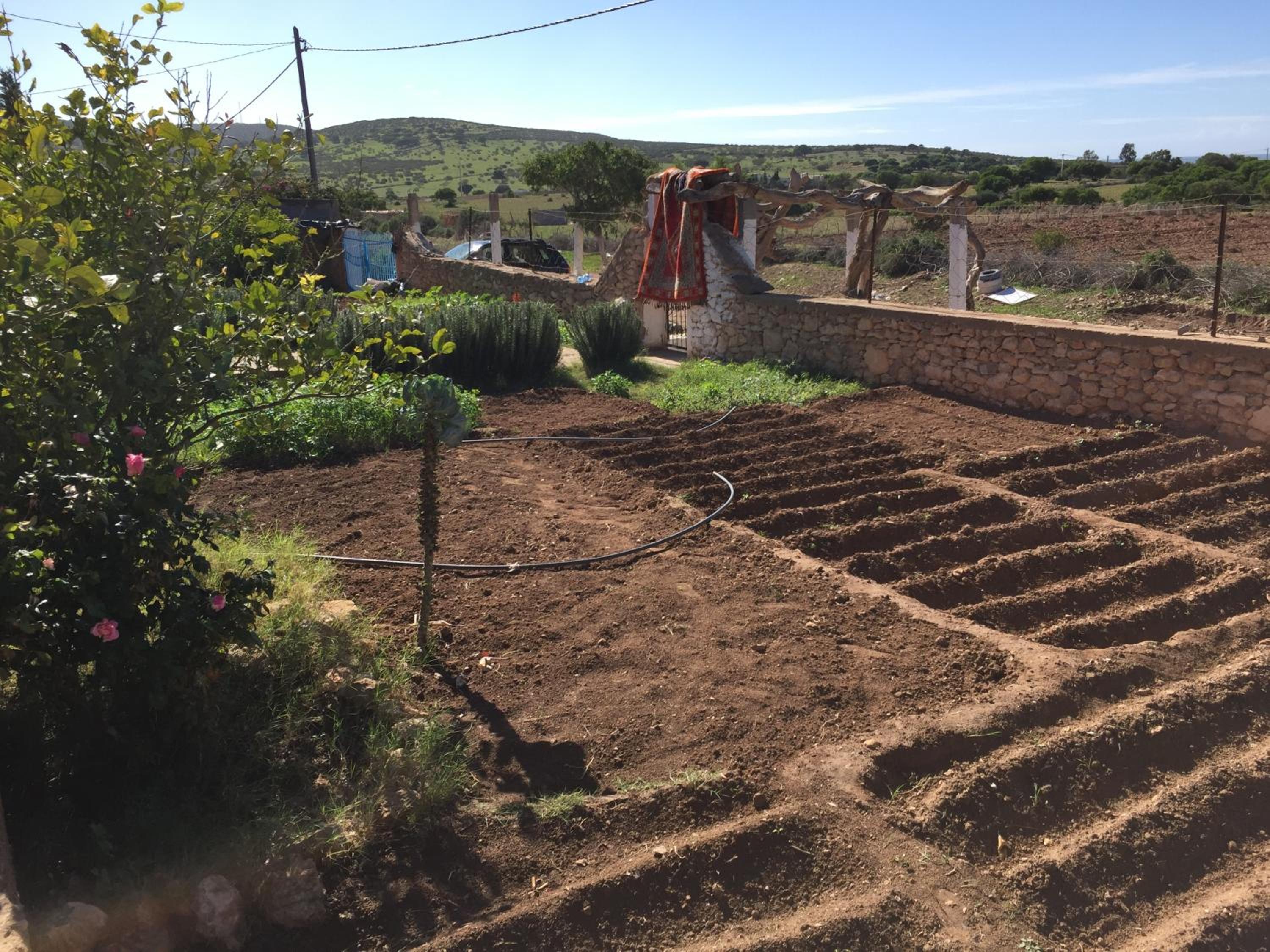 Photo 19