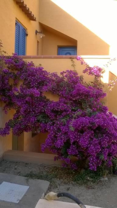 casa dalle 4 grandi terrazze view 2