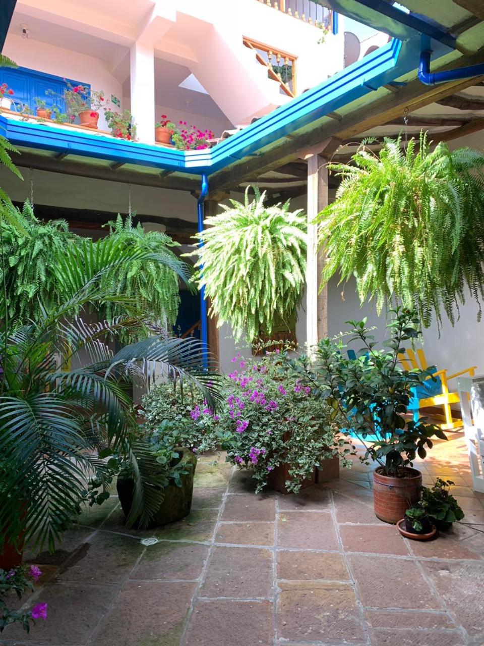 Meraki Boutique Hostel