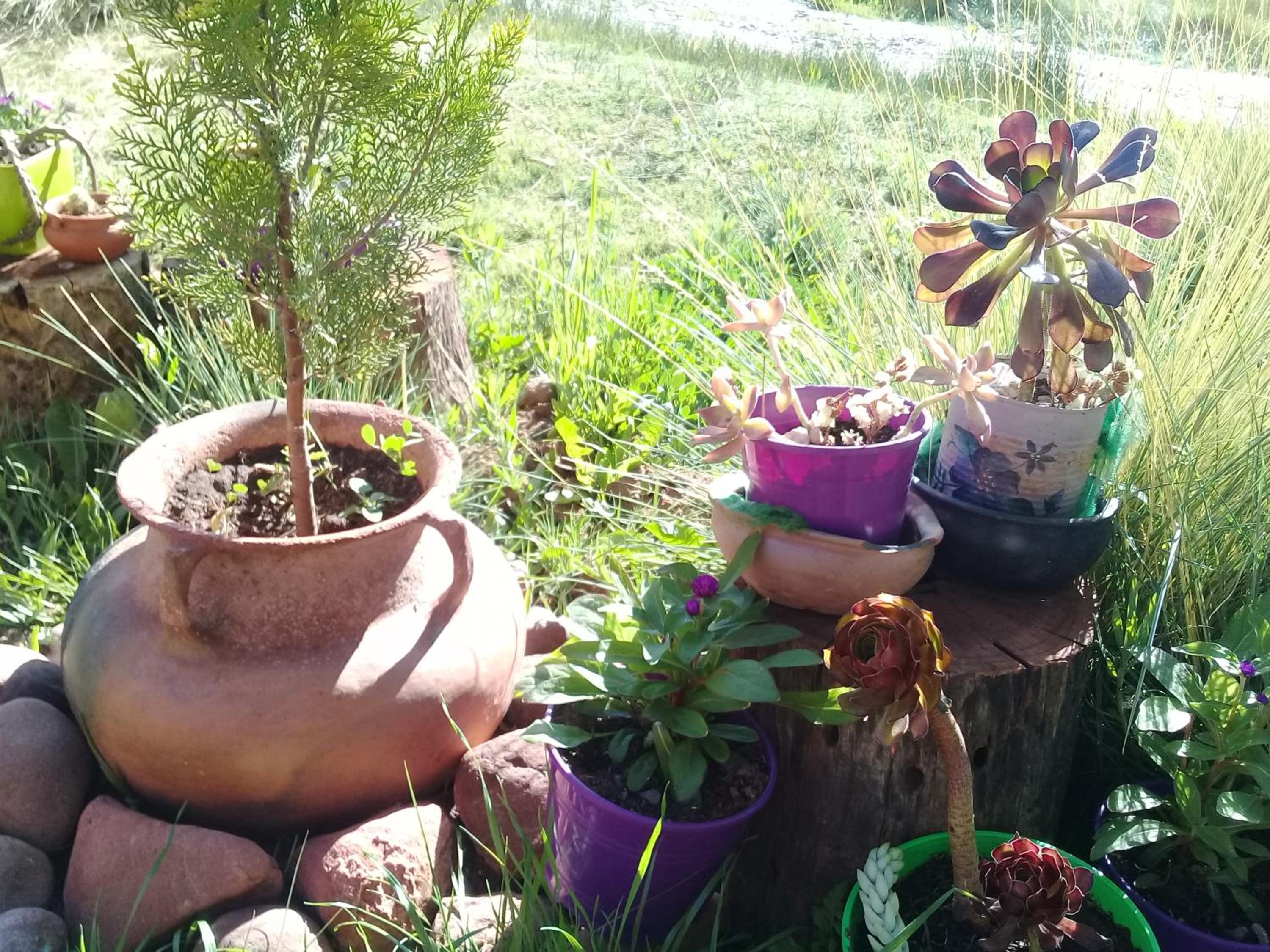 Cabaña El Cardón,casita en el campo quebradeño
