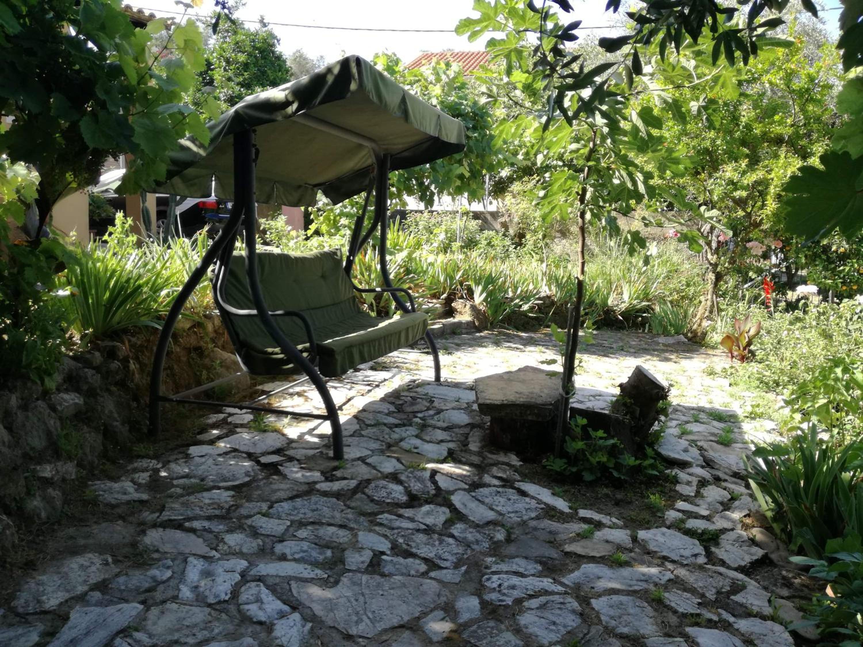 Photo 45