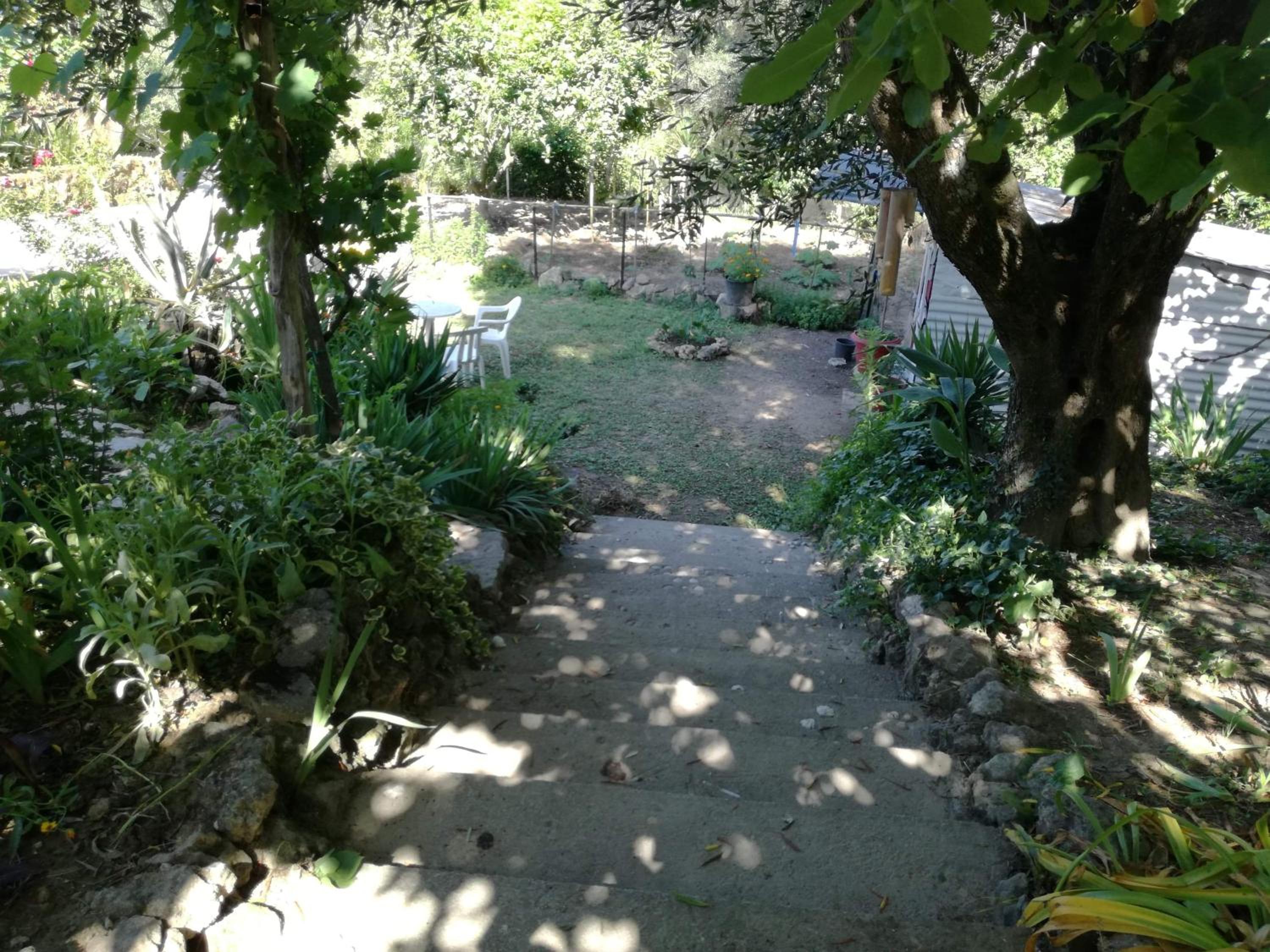 Photo 42