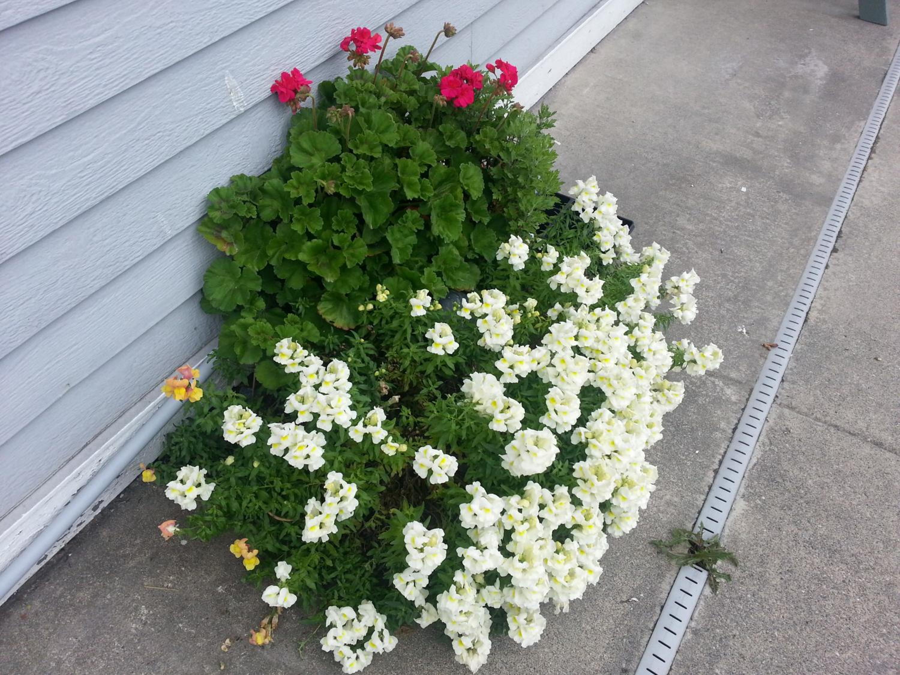 Photo 33