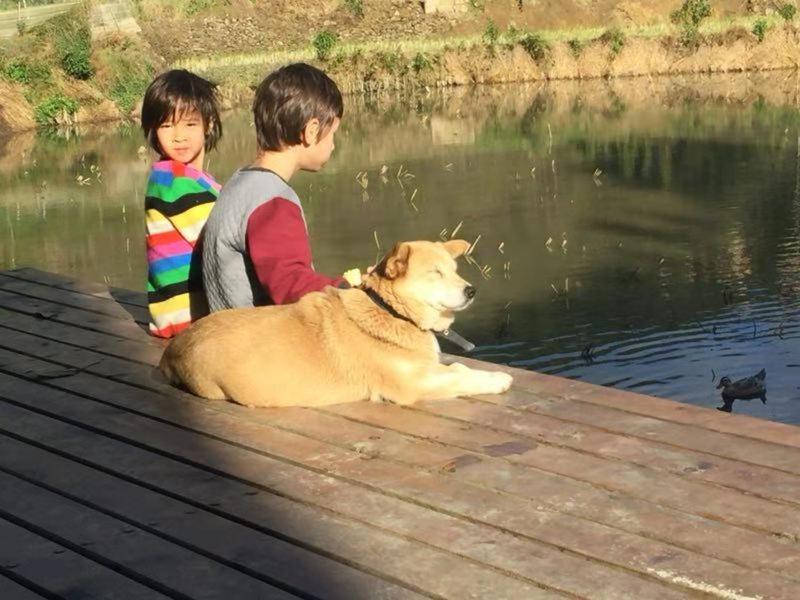 human