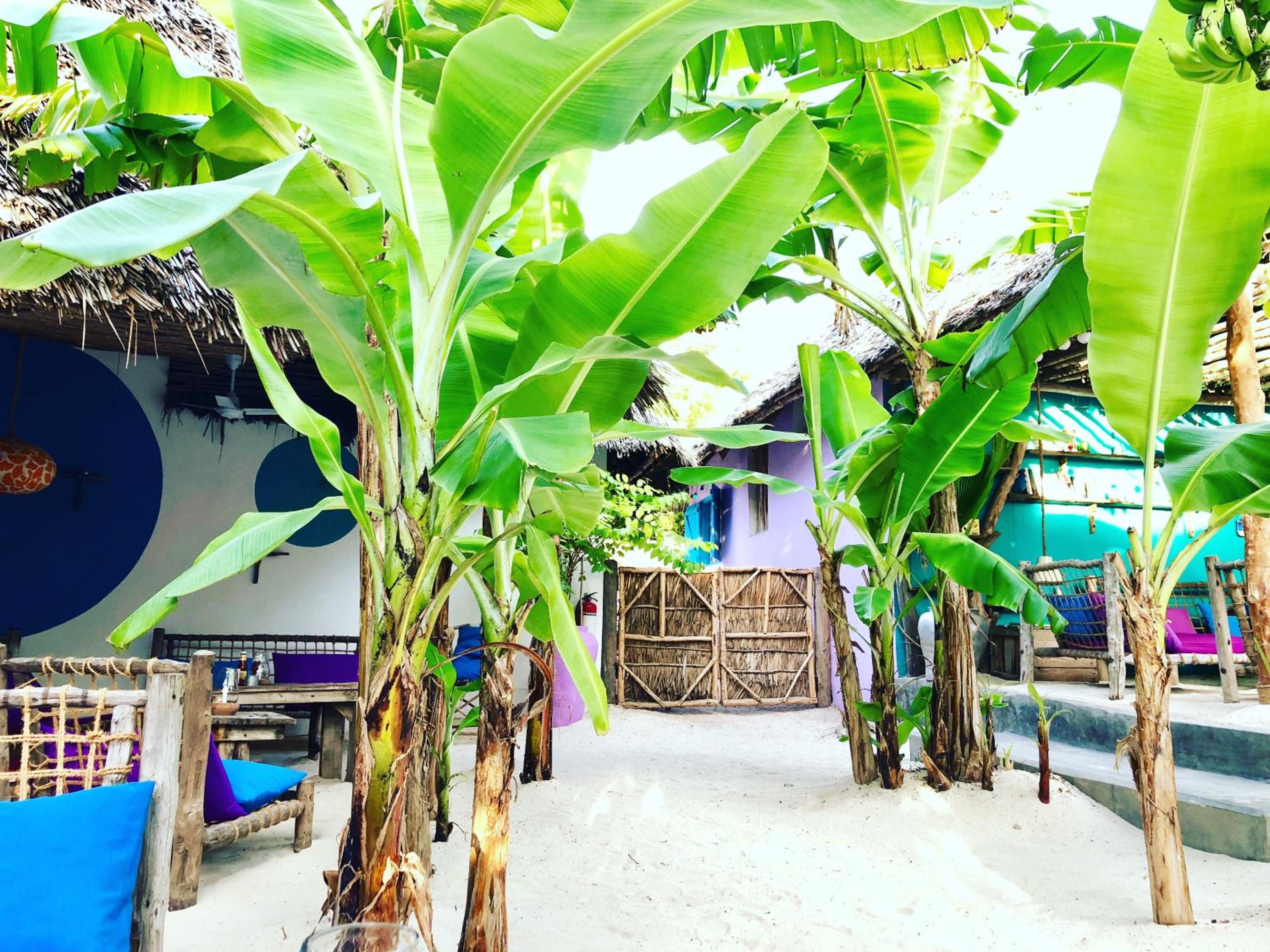 Zanzistar Lodge