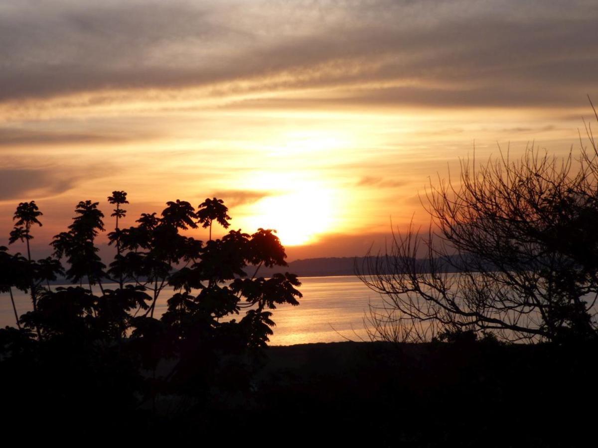 BlueMonkey Guesthouse view 4