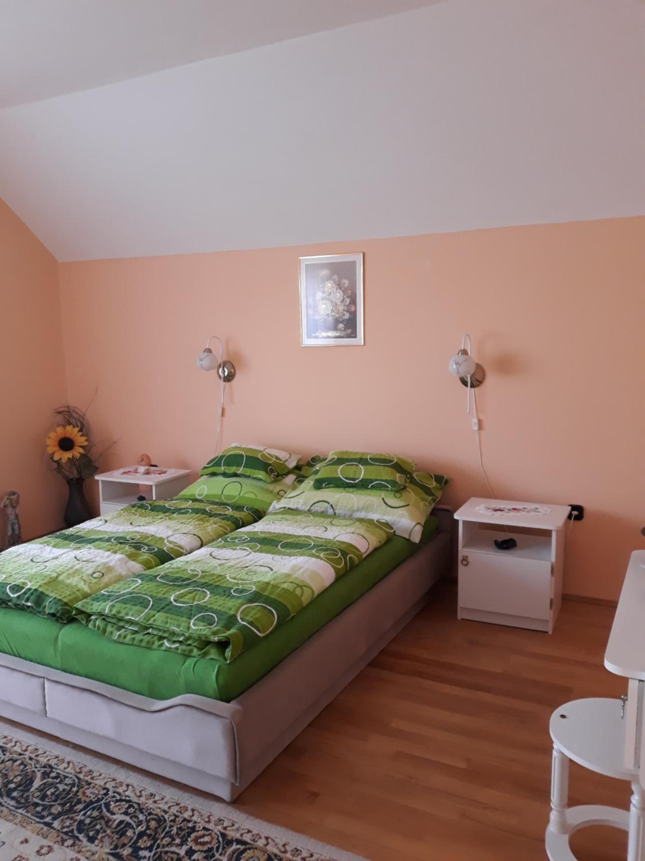 Tislerics Apartman view 2