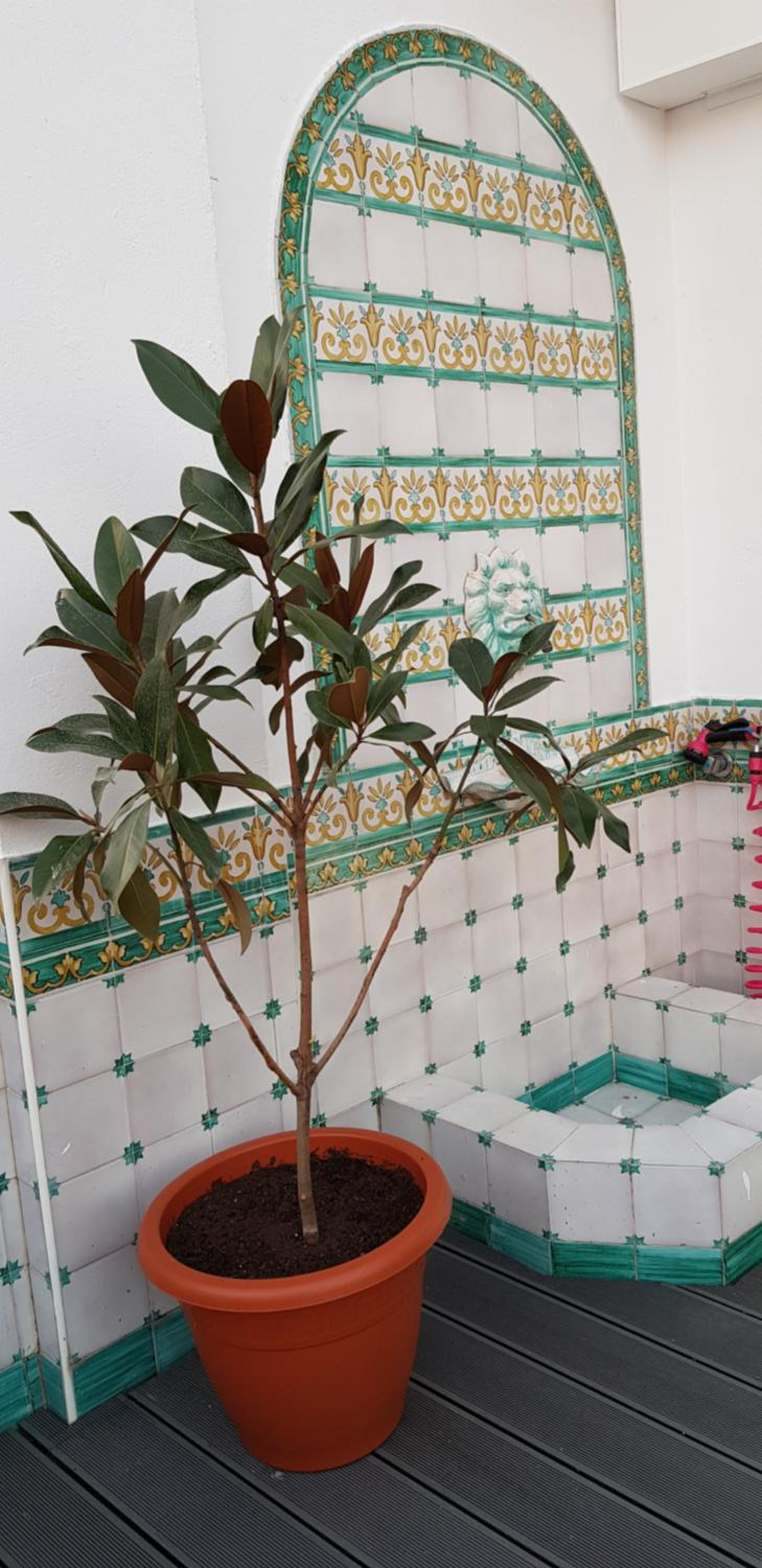 Photo 22