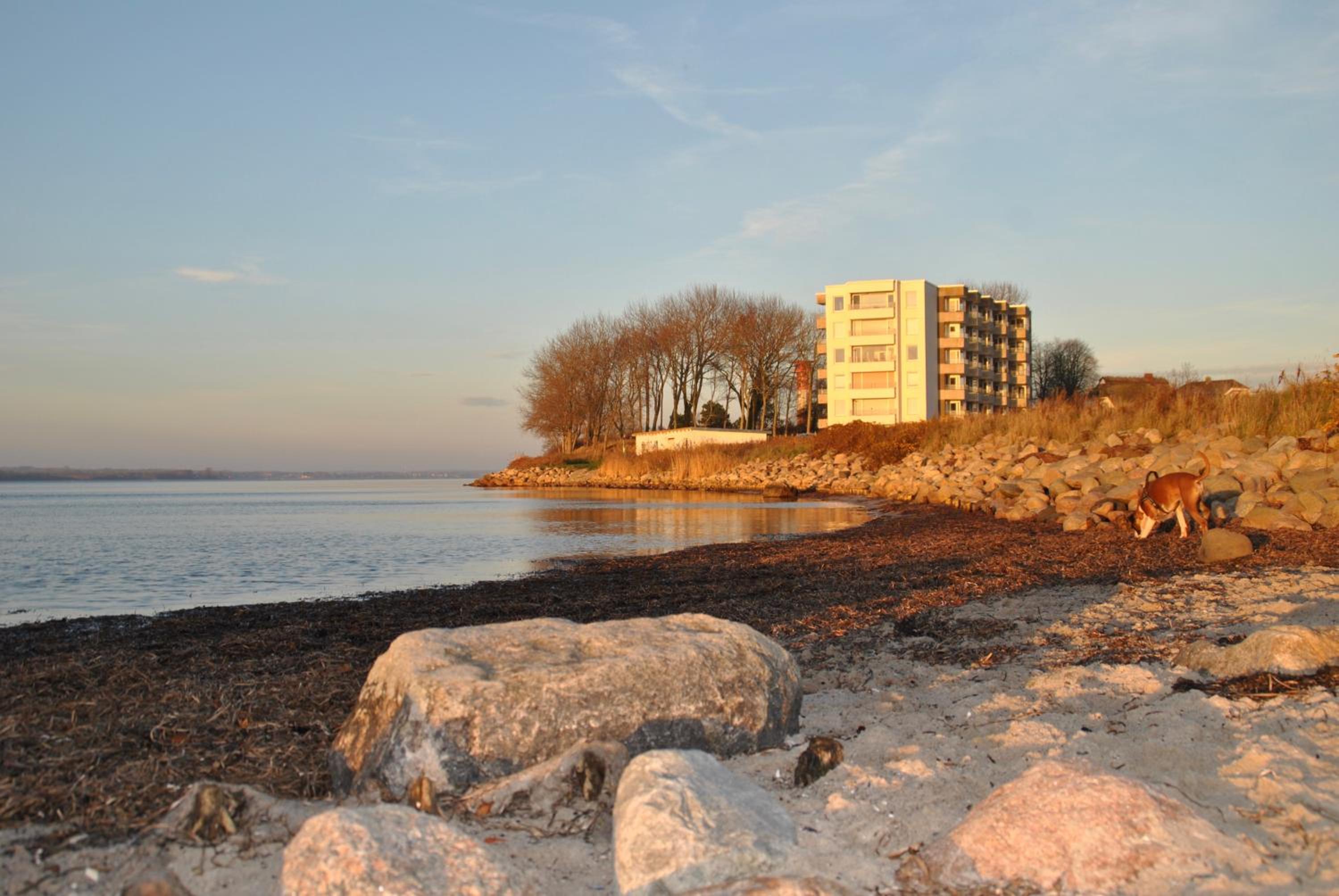 Mare view 4