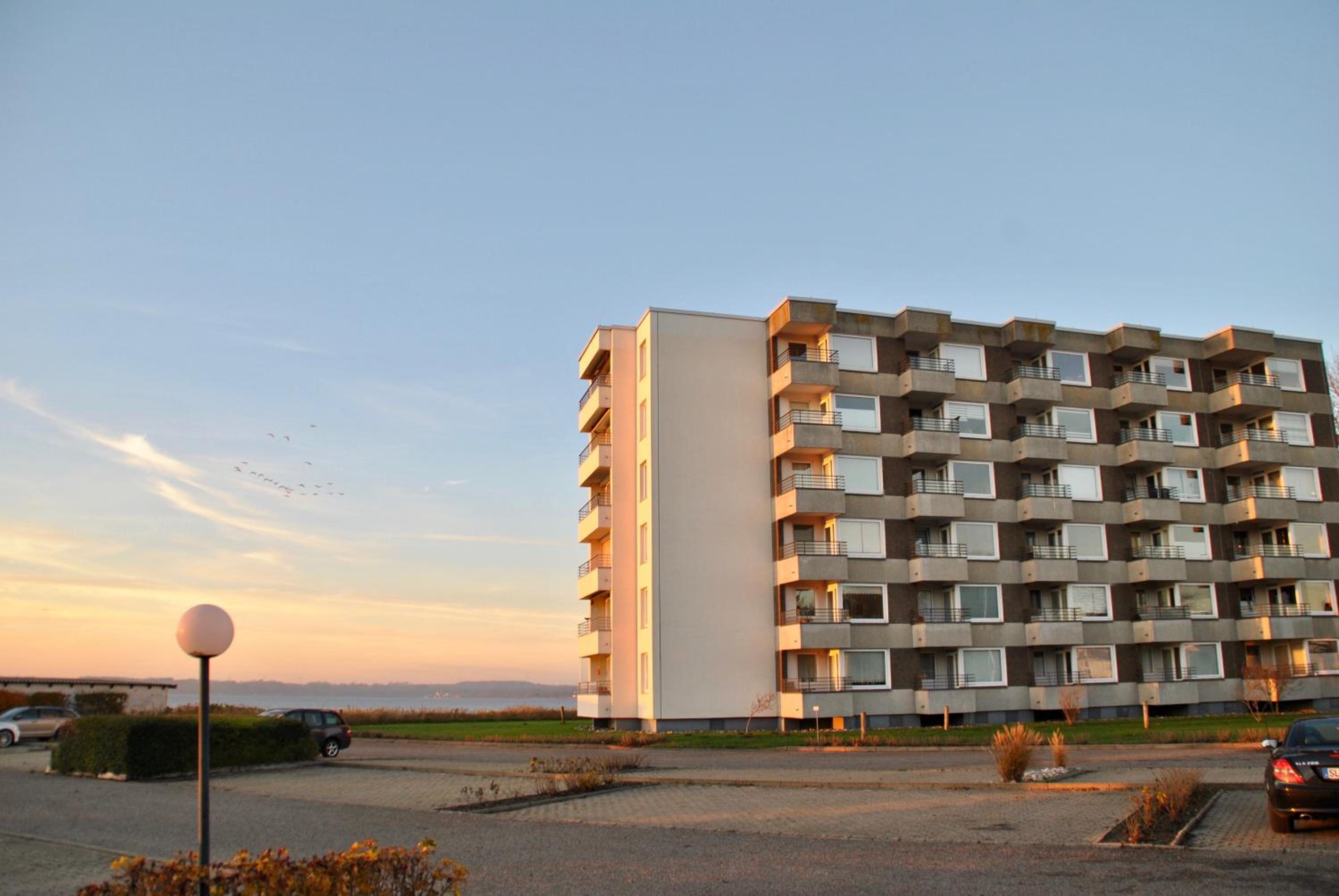 Mare view 5