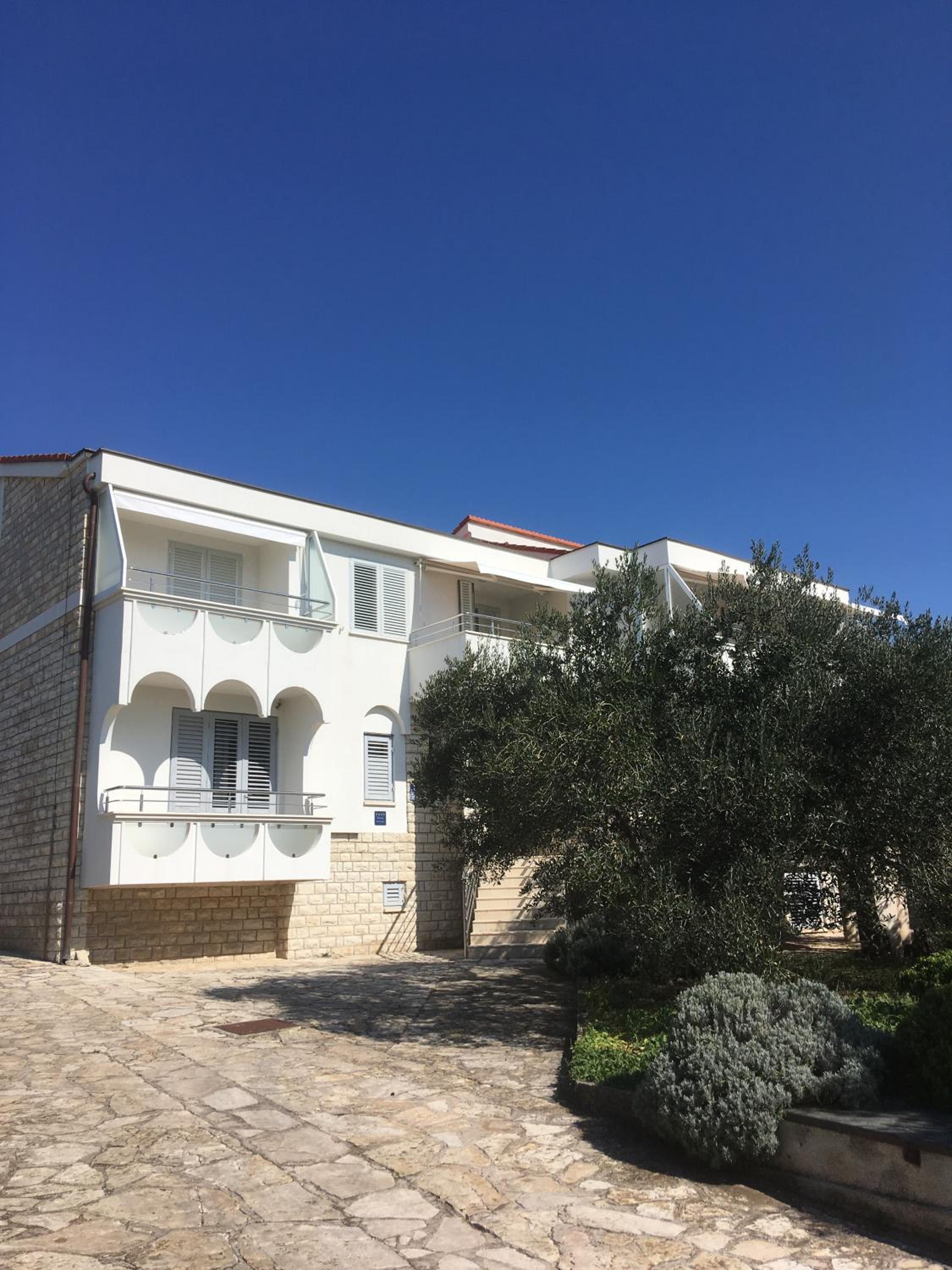 Galeb en Vodice