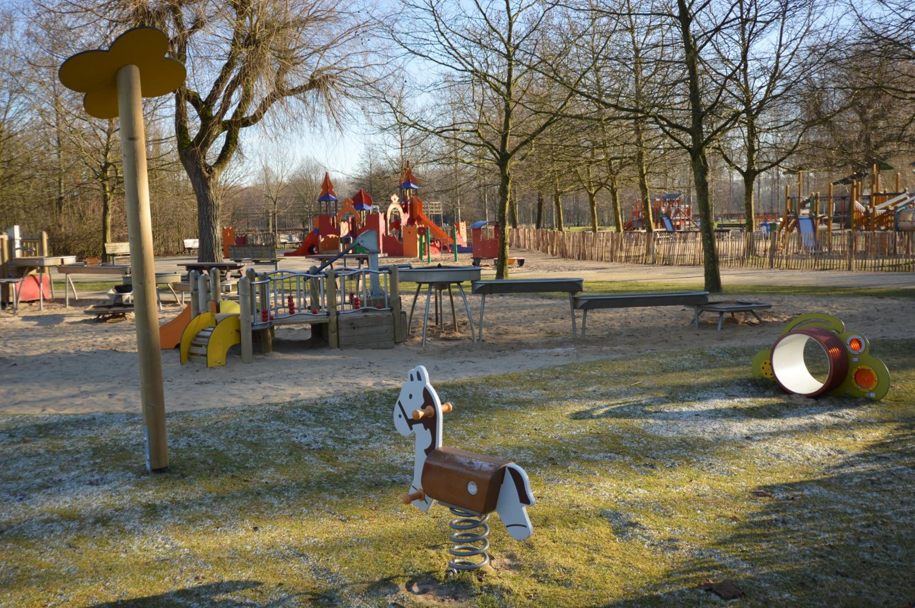 Photo 12