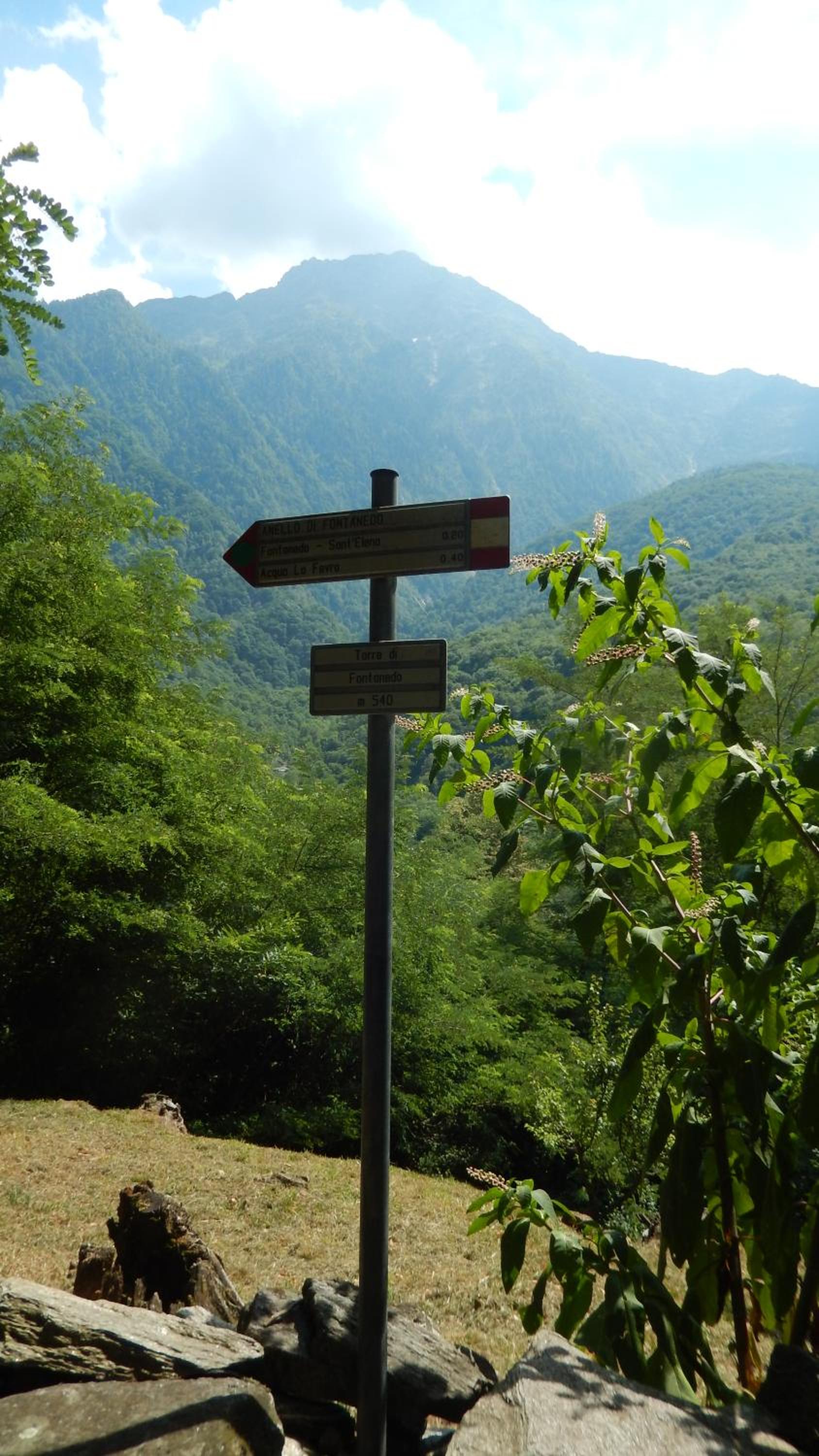Photo 30