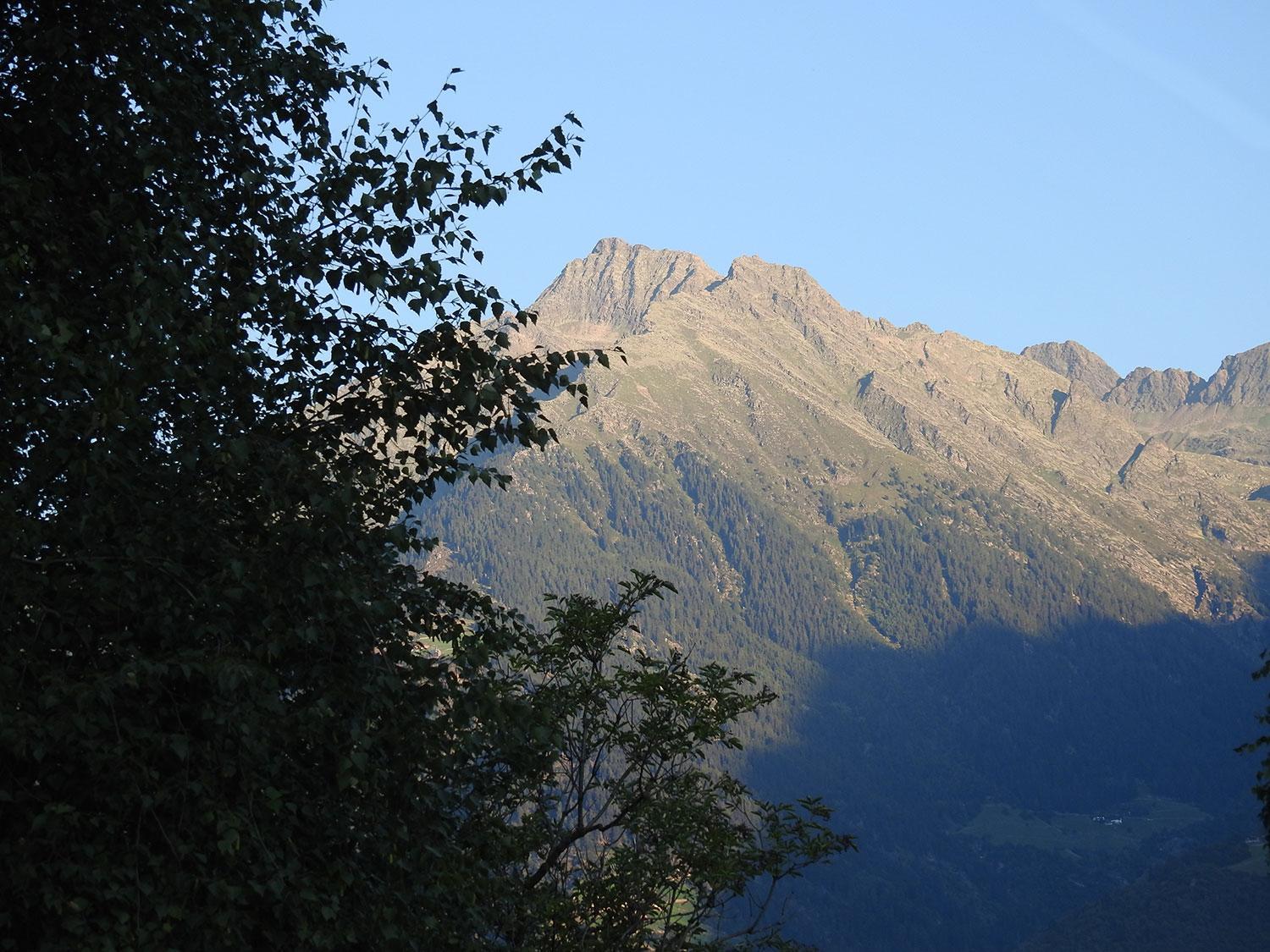 Photo 49