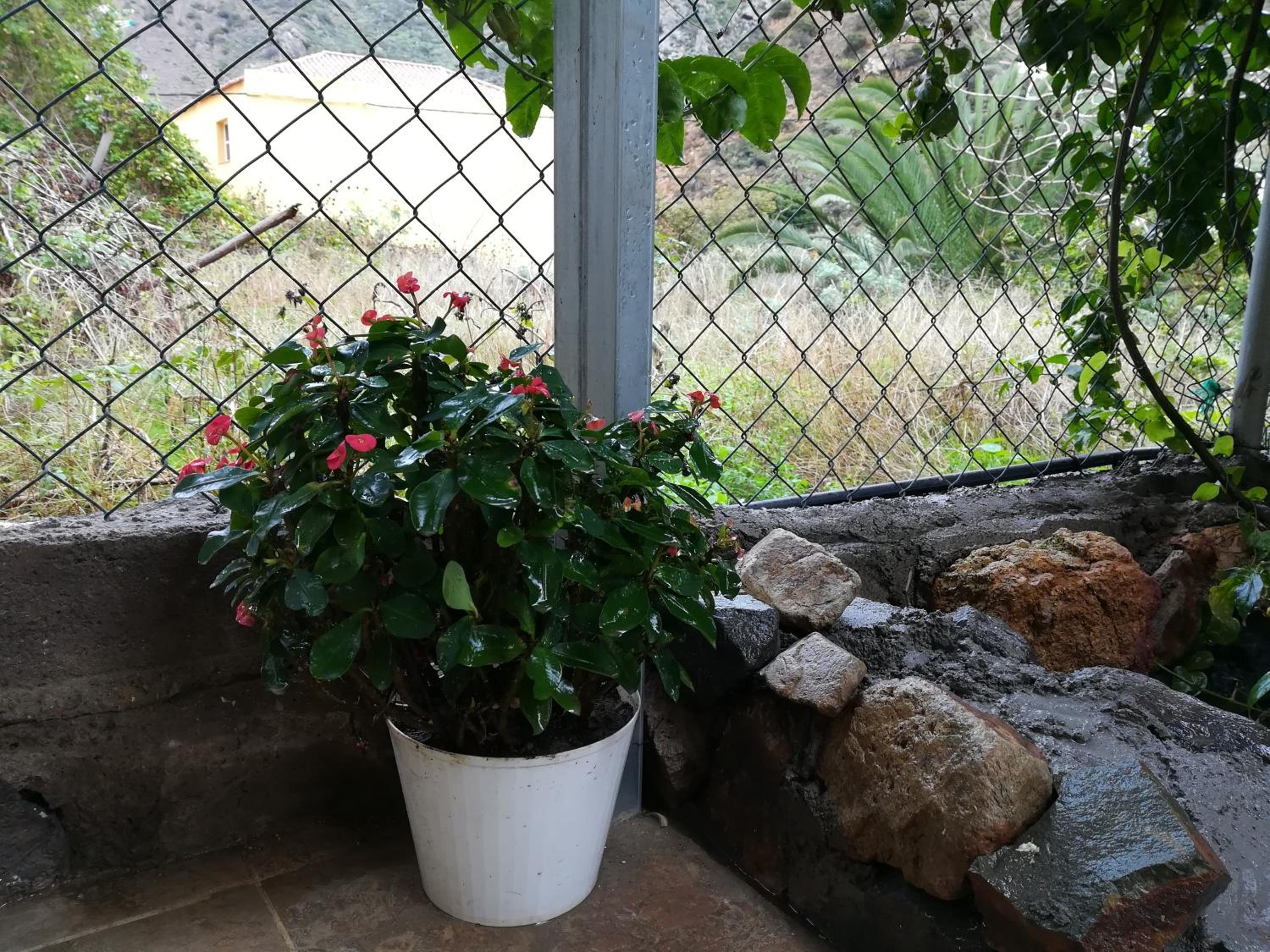 Photo 24