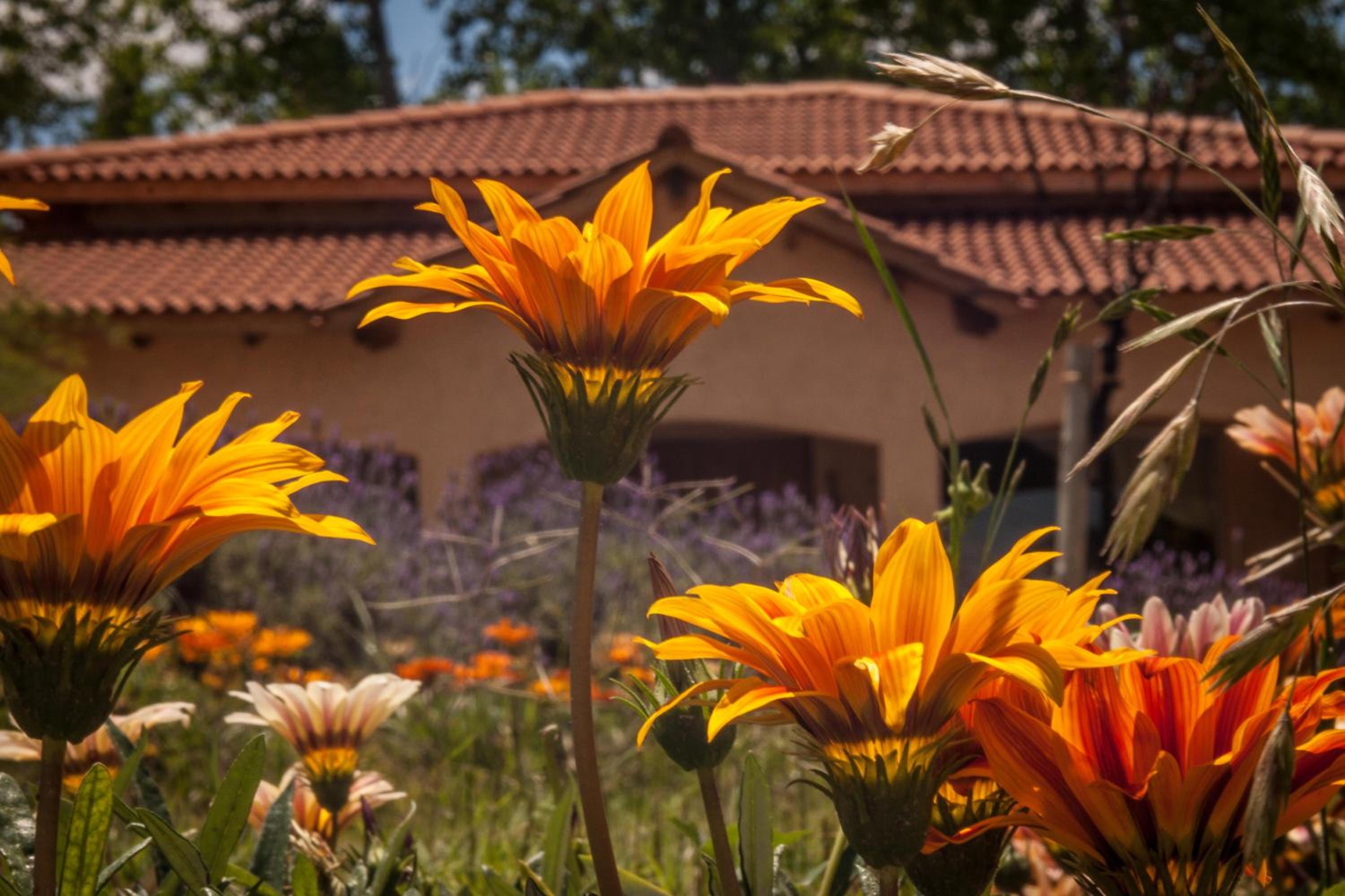 Casona Aventurados