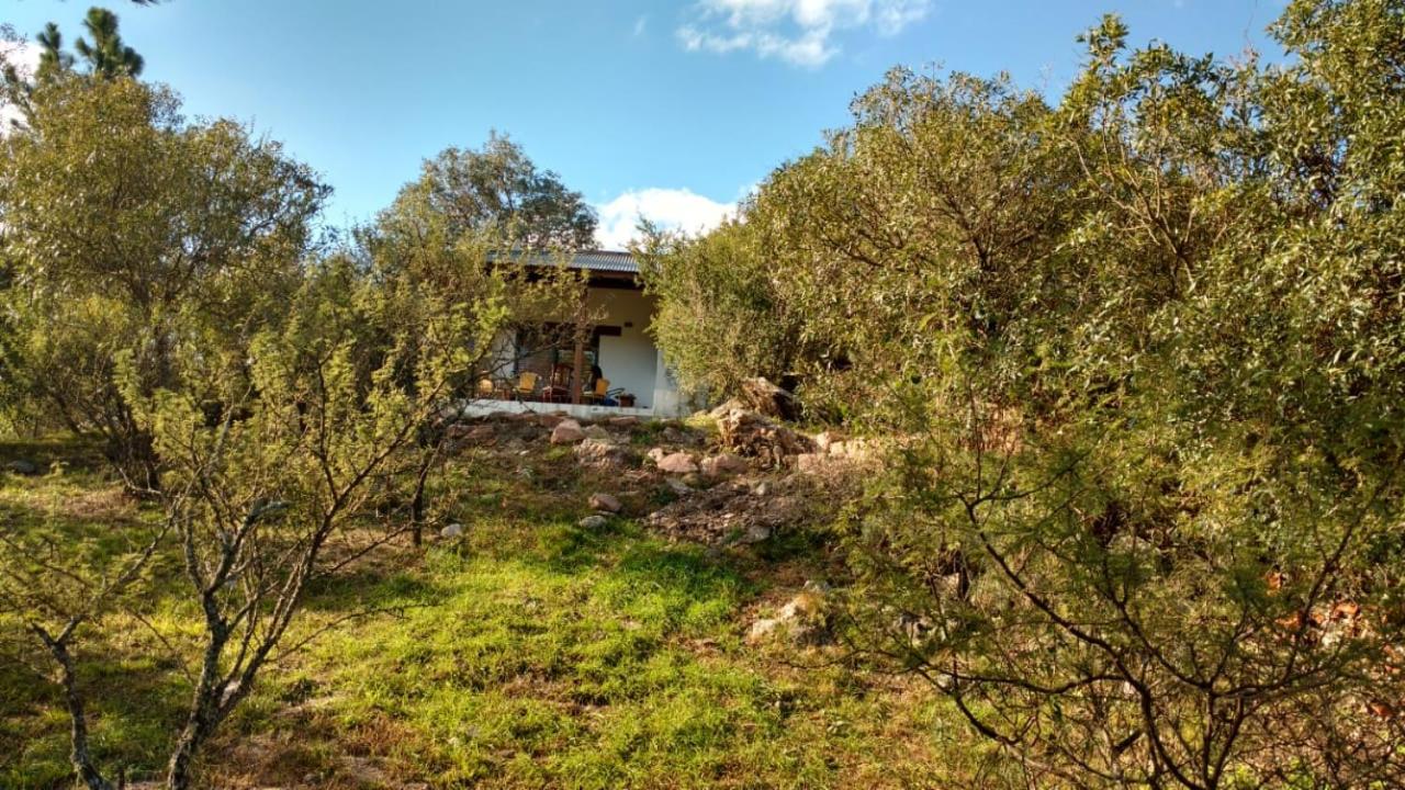 Cuesta los Robles -Casas Serranas-
