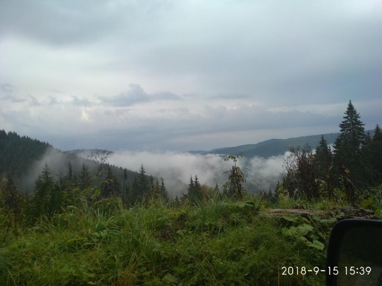 Photo 81