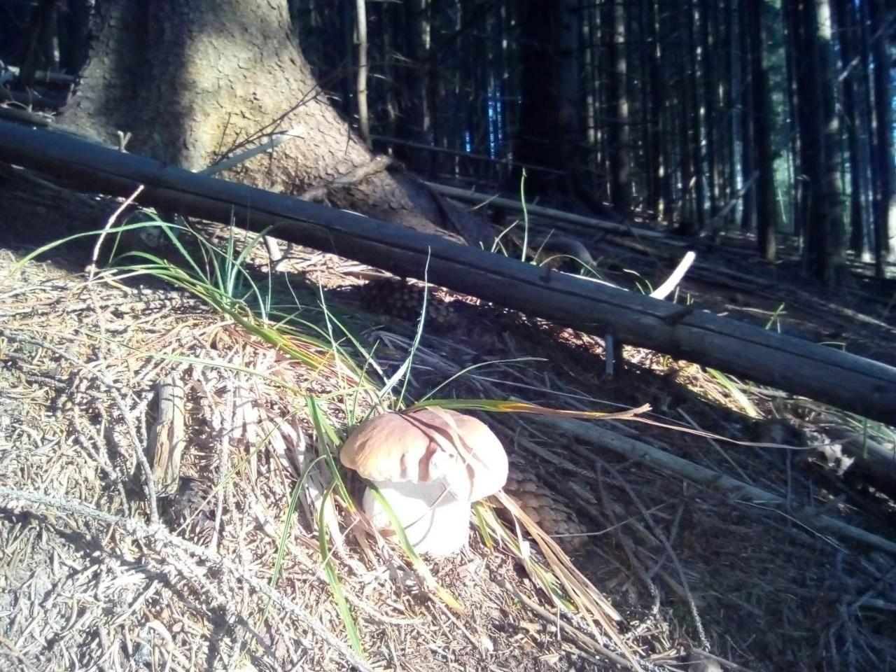 Photo 47